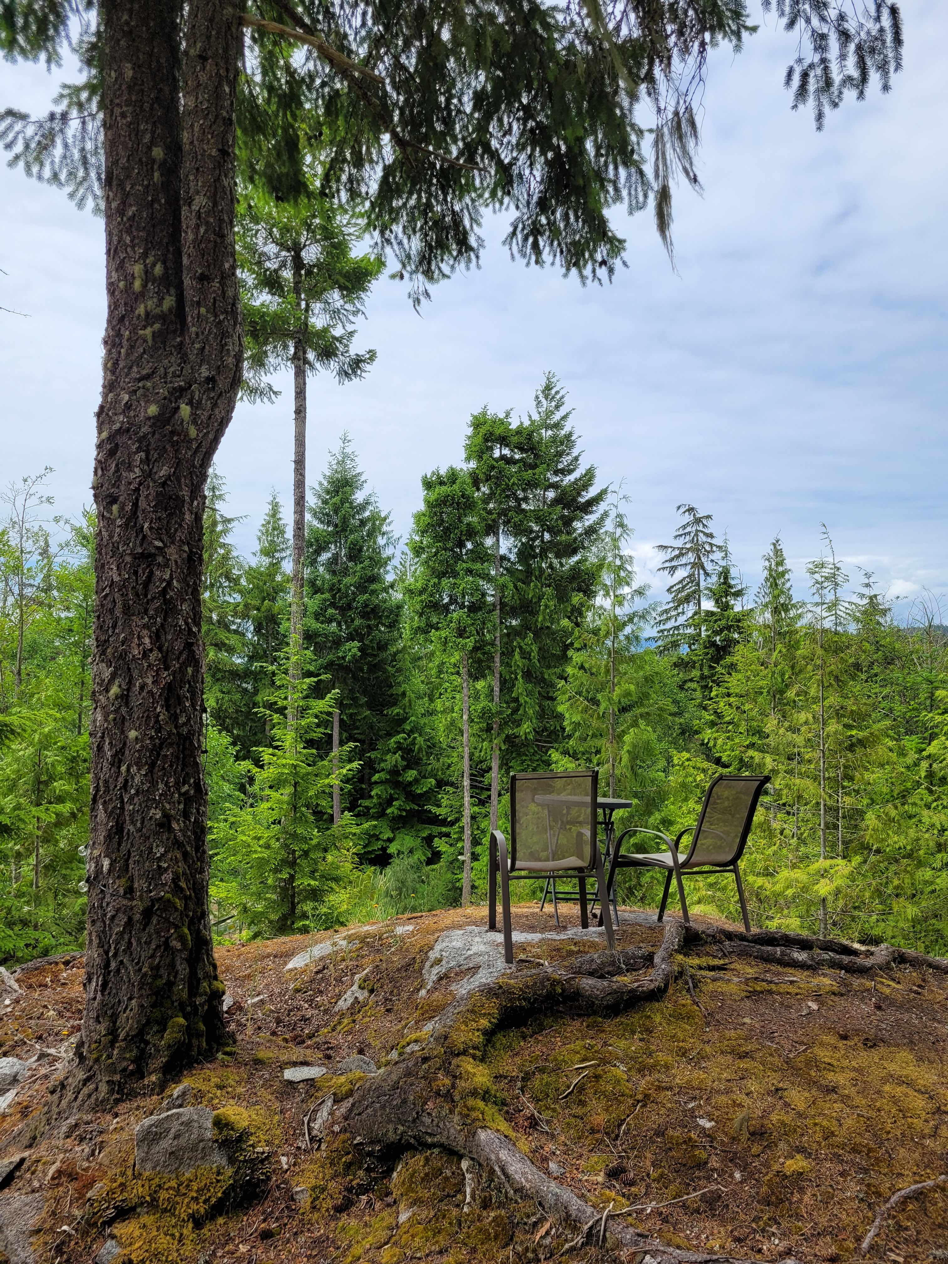 Tiny Secrets Farm & Retreat