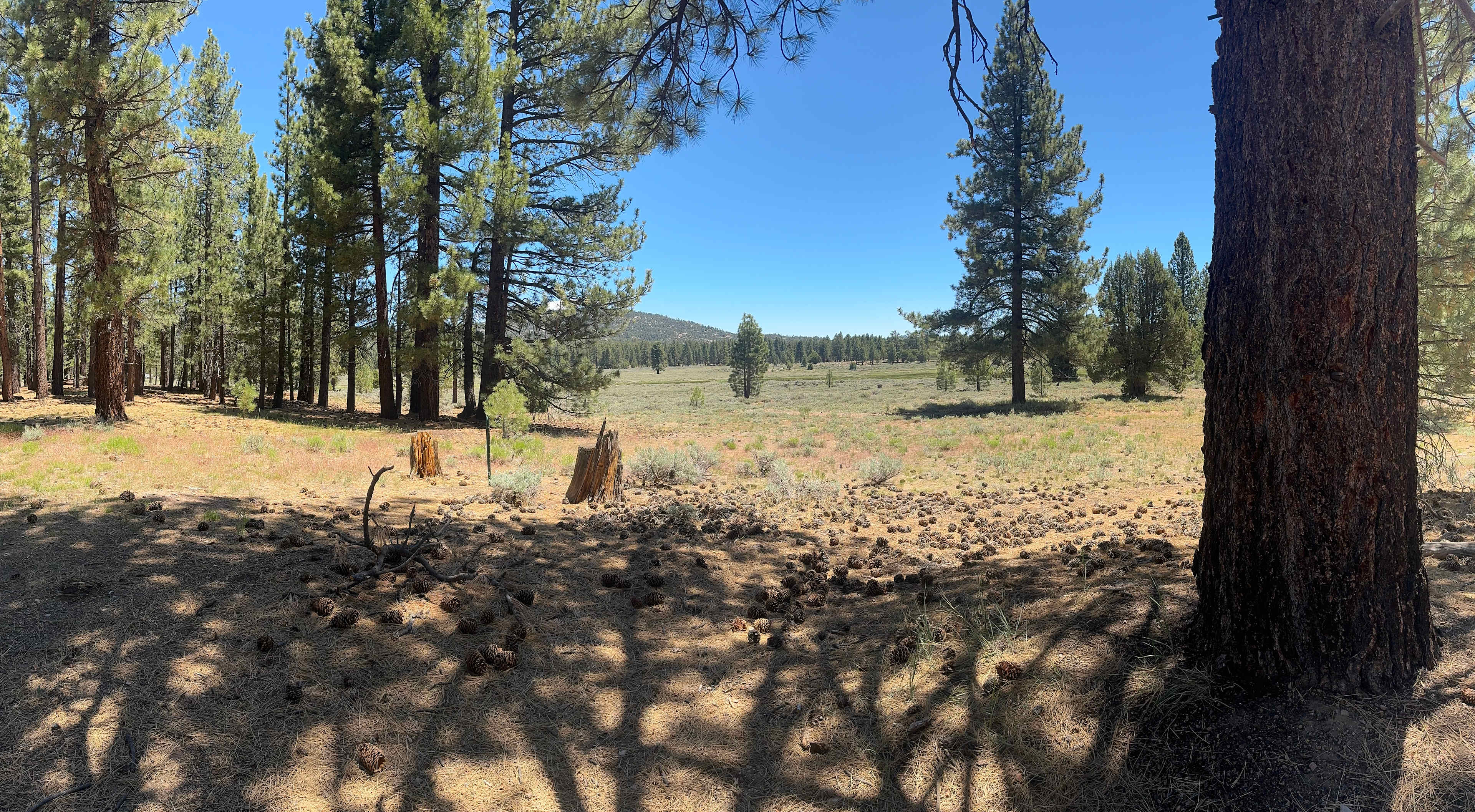 Holcomb Valley Ranch
