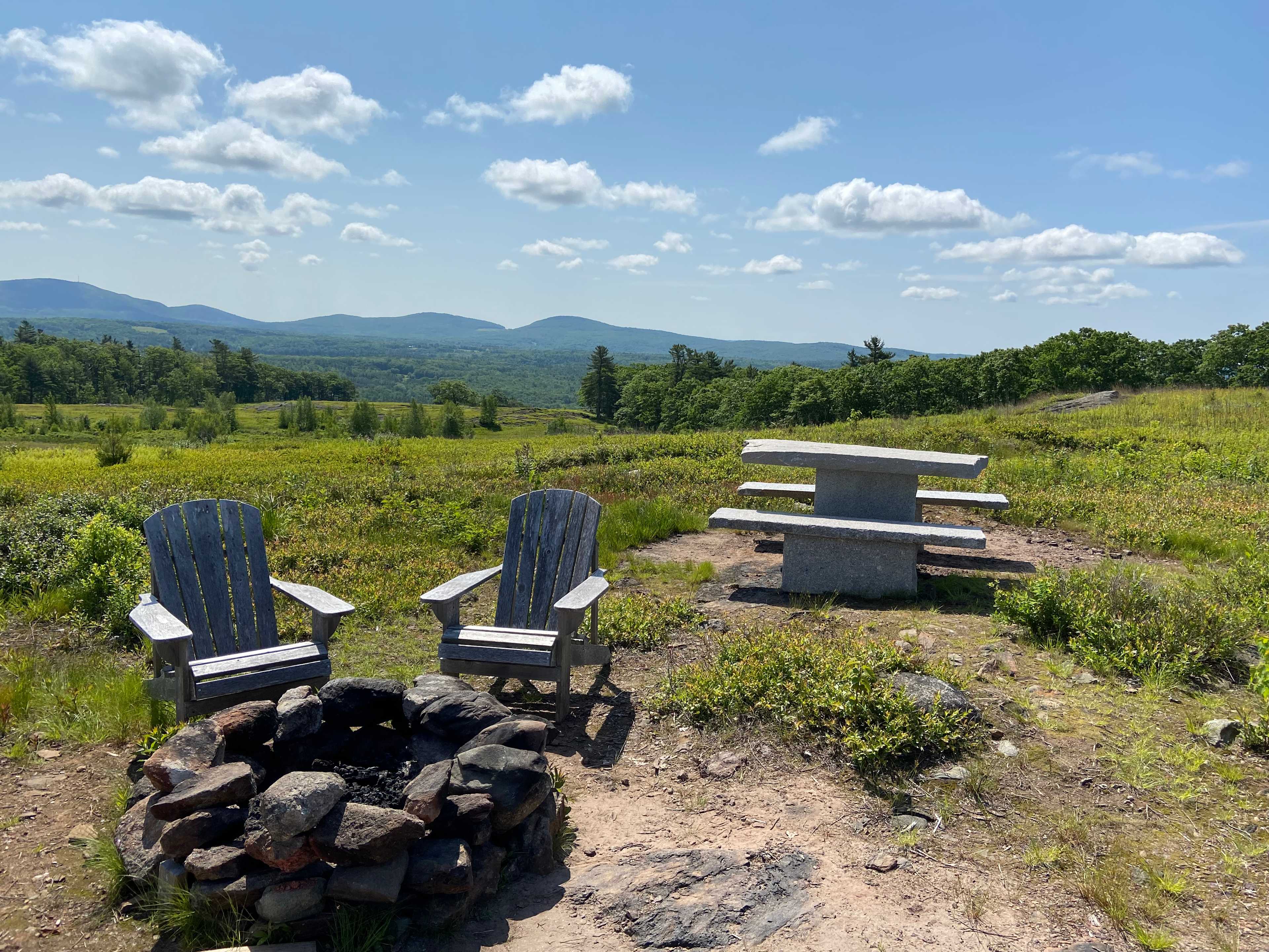 Magnificent View Blueberry Hill----