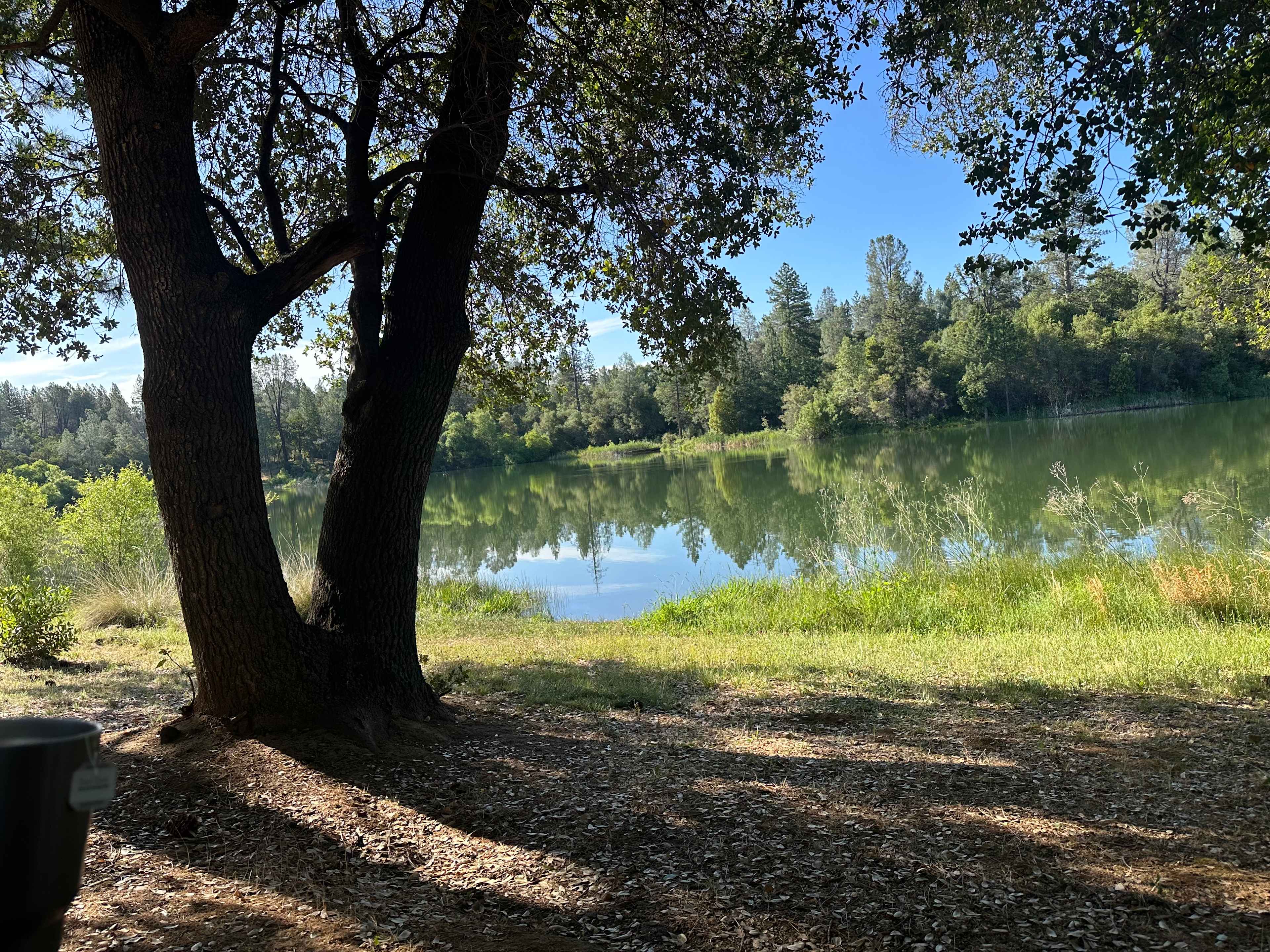 Finnon Lake Recreation Area