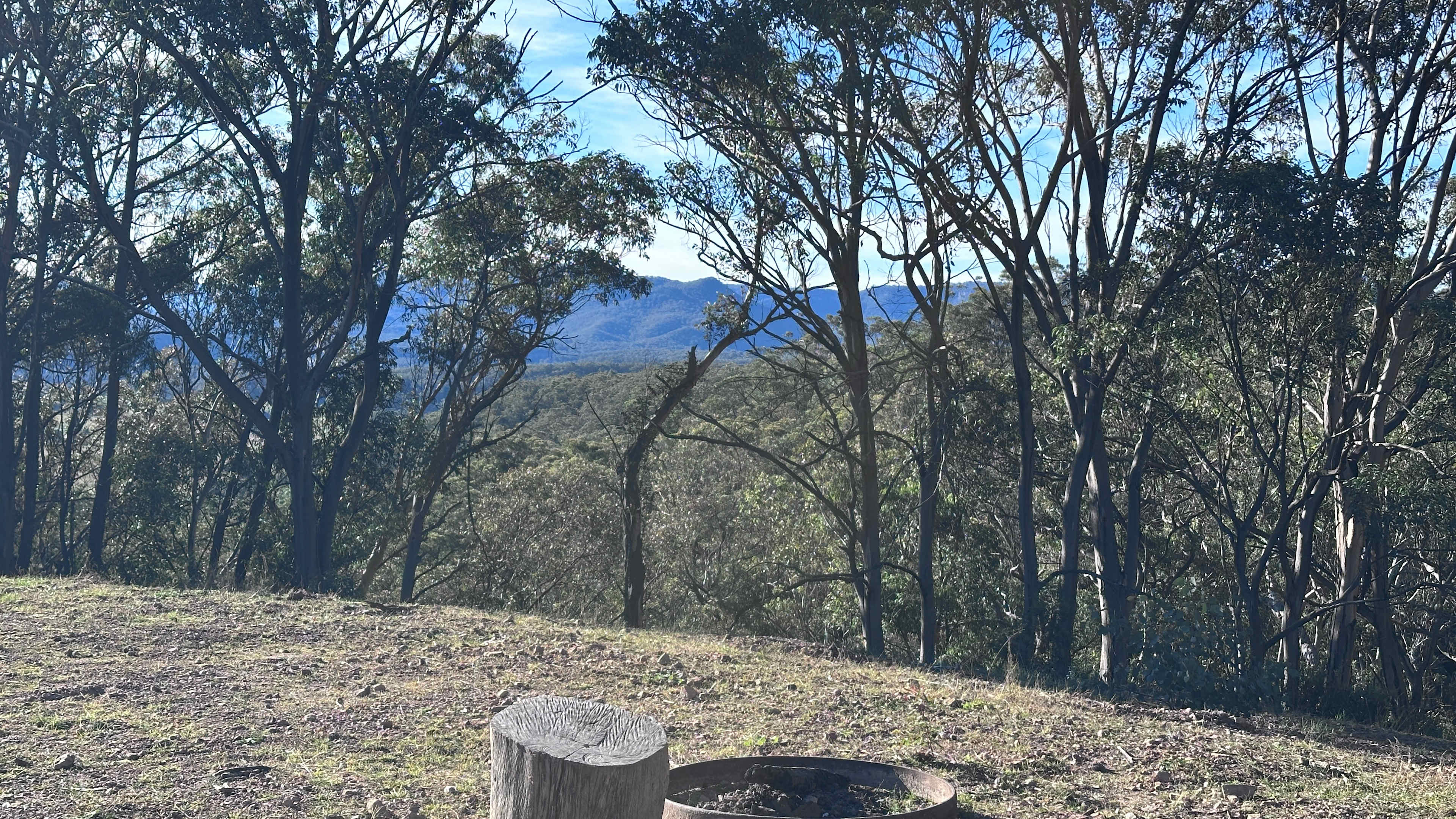 View looking N/E from campsite.
