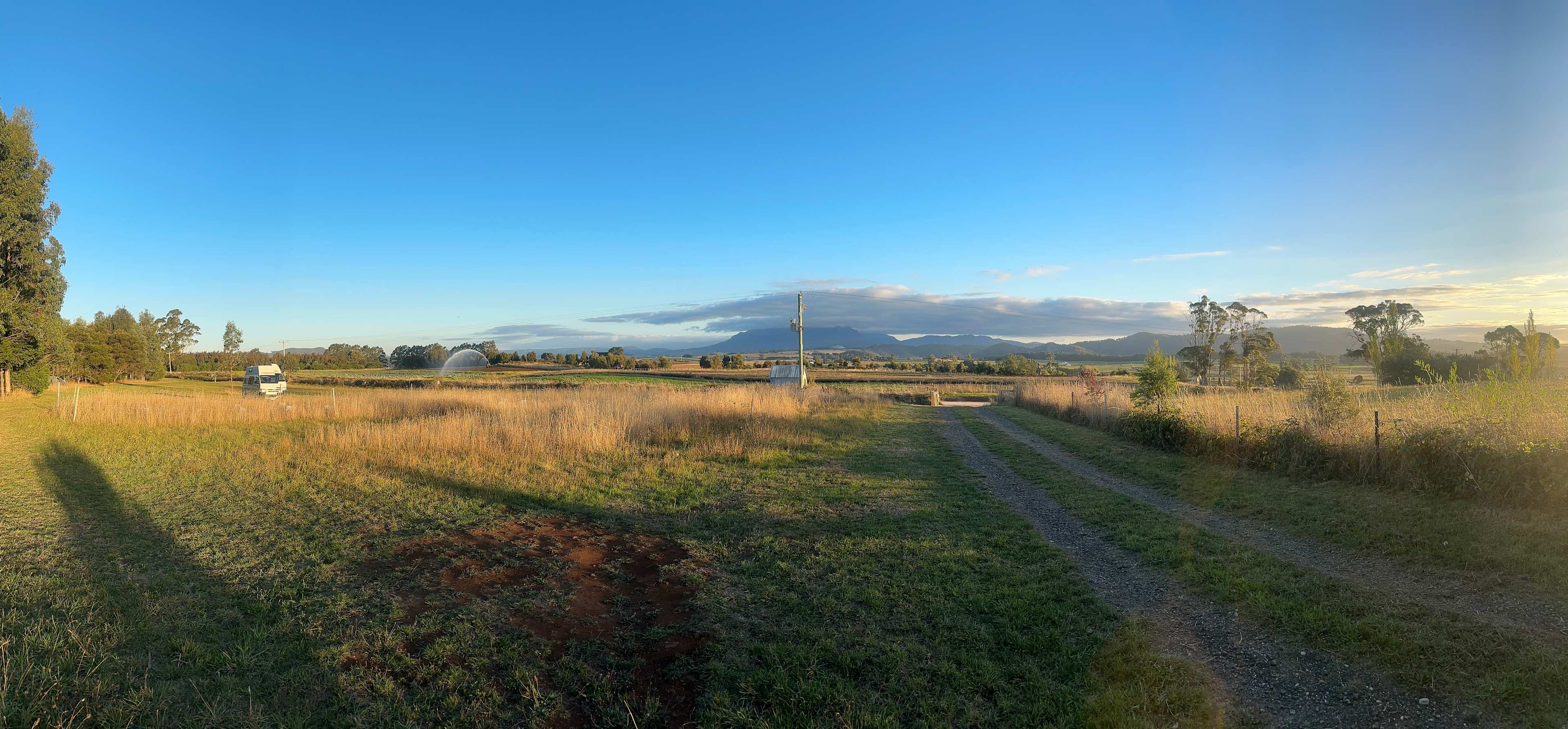 Marleen Herbs of Tasmania