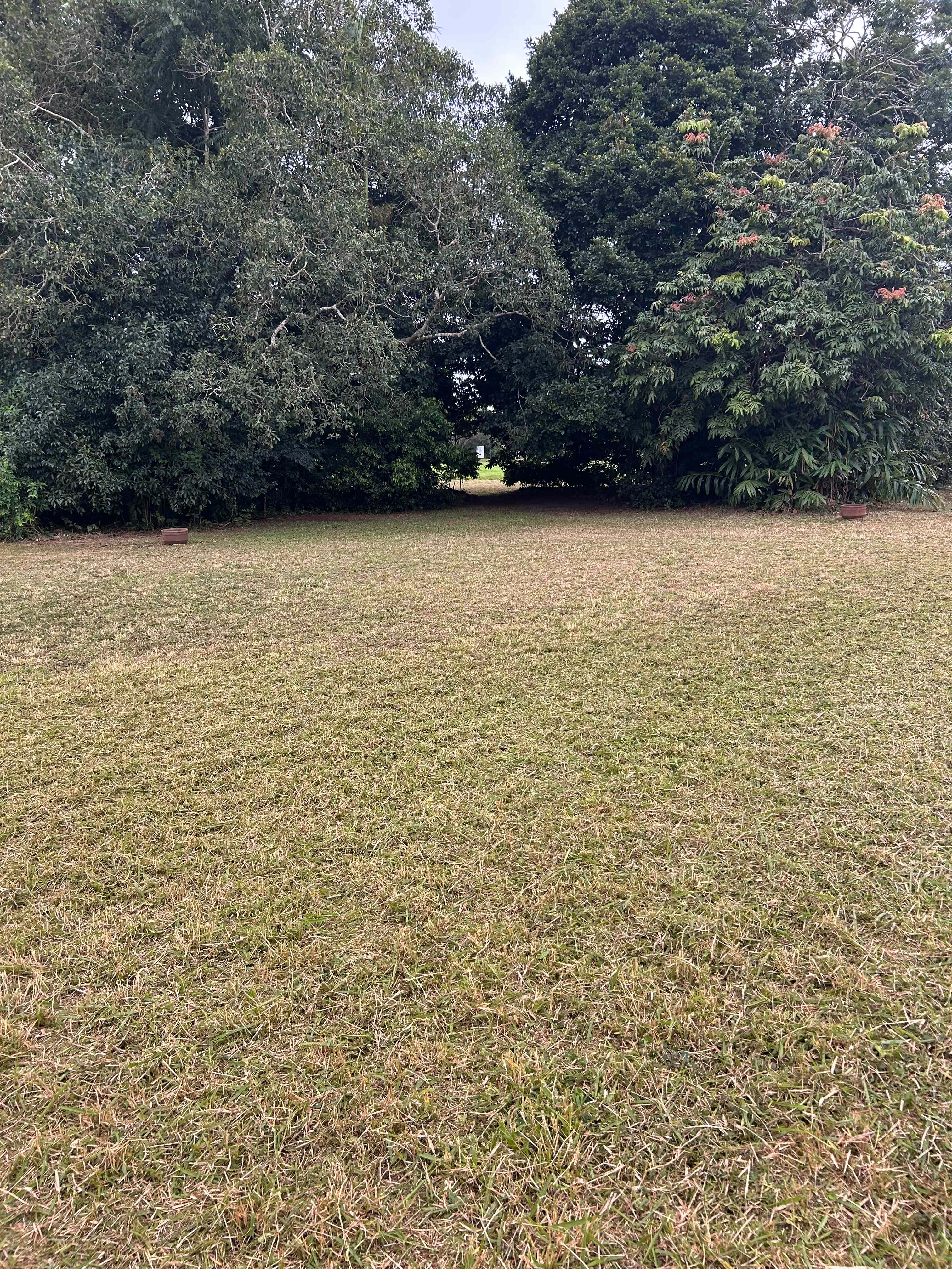 Burraview