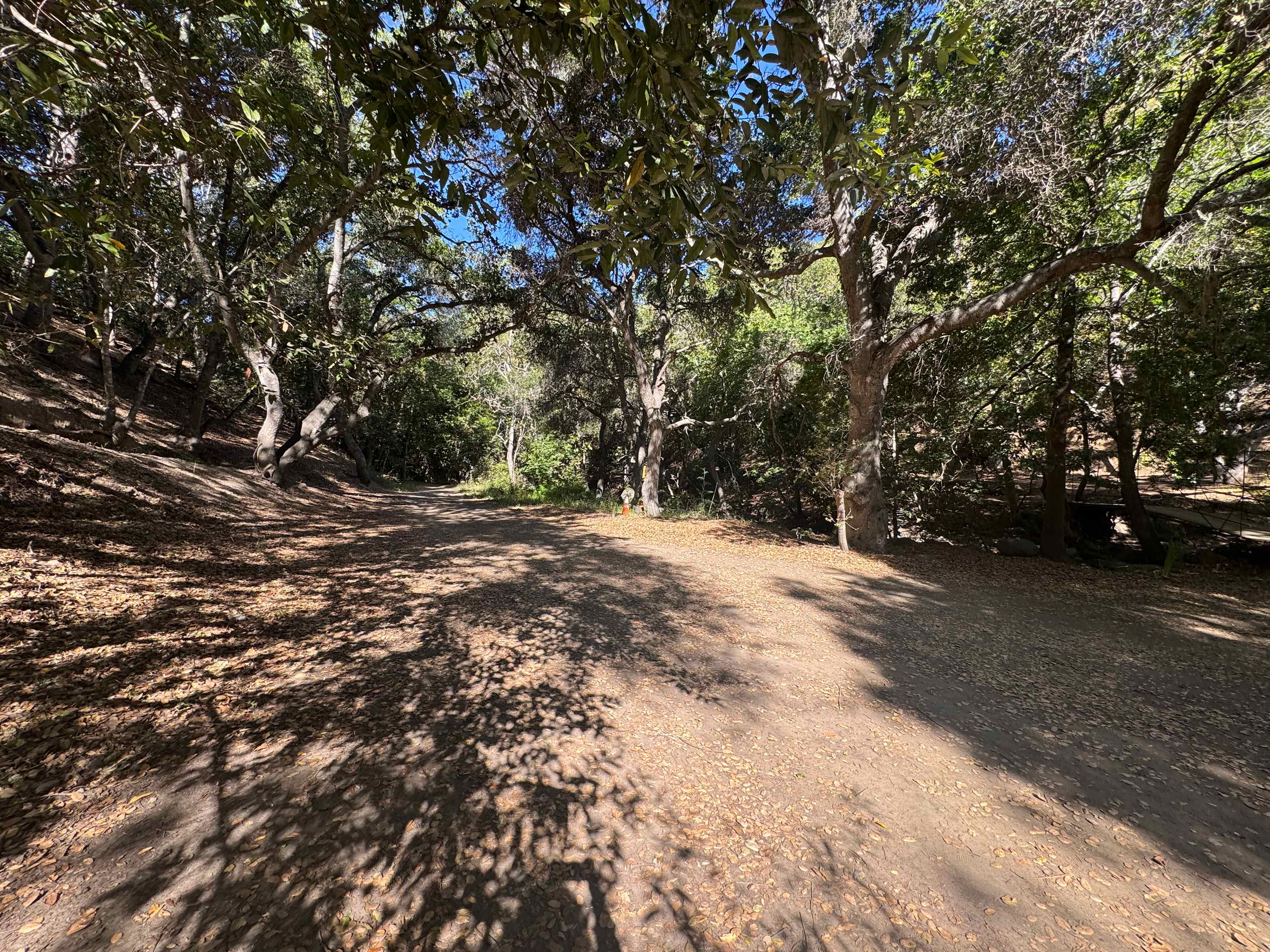 Creekside Camping and Mineral Baths