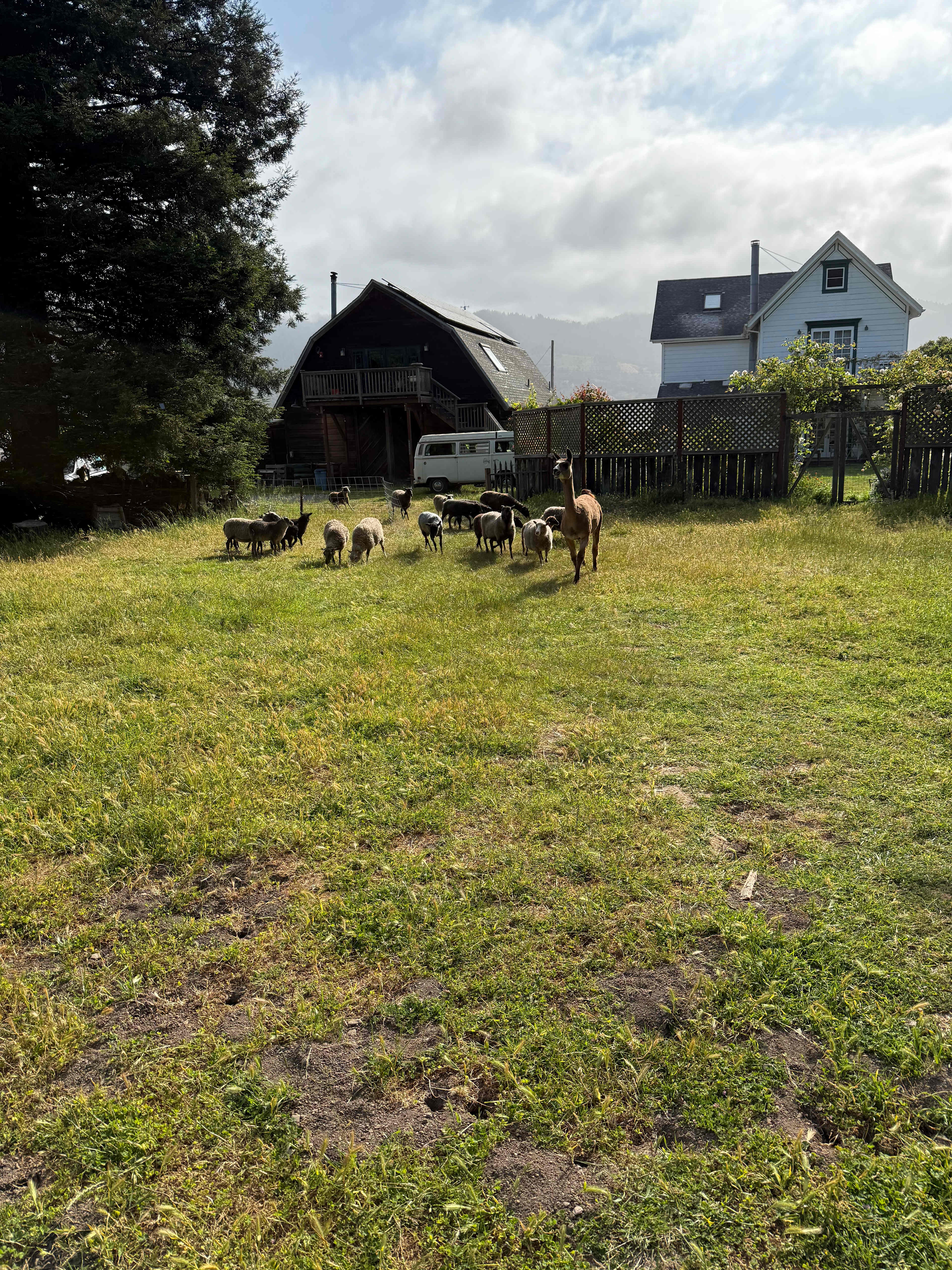Blackberry Farm