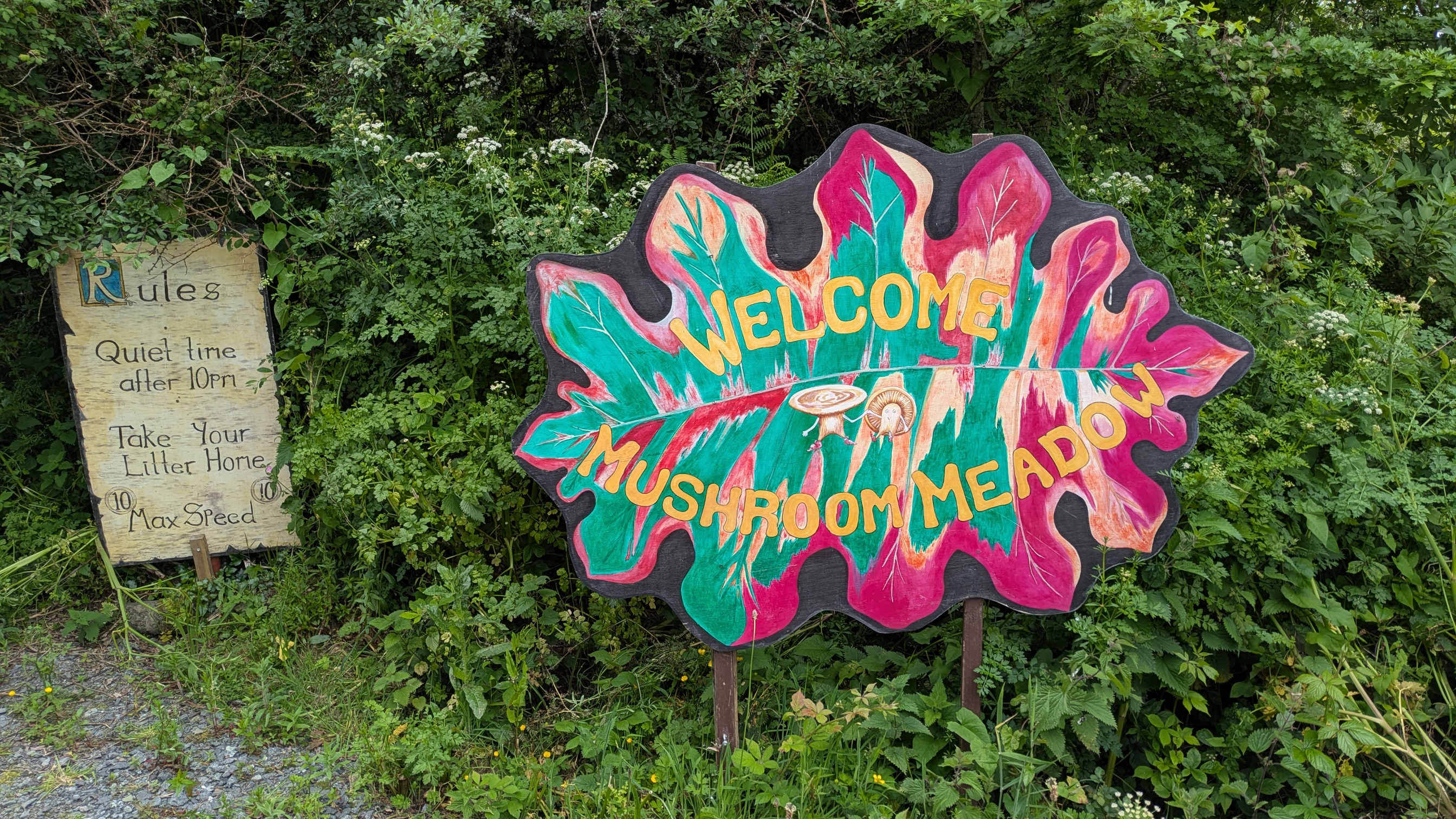 Mushroom Meadow, Cornwall UK