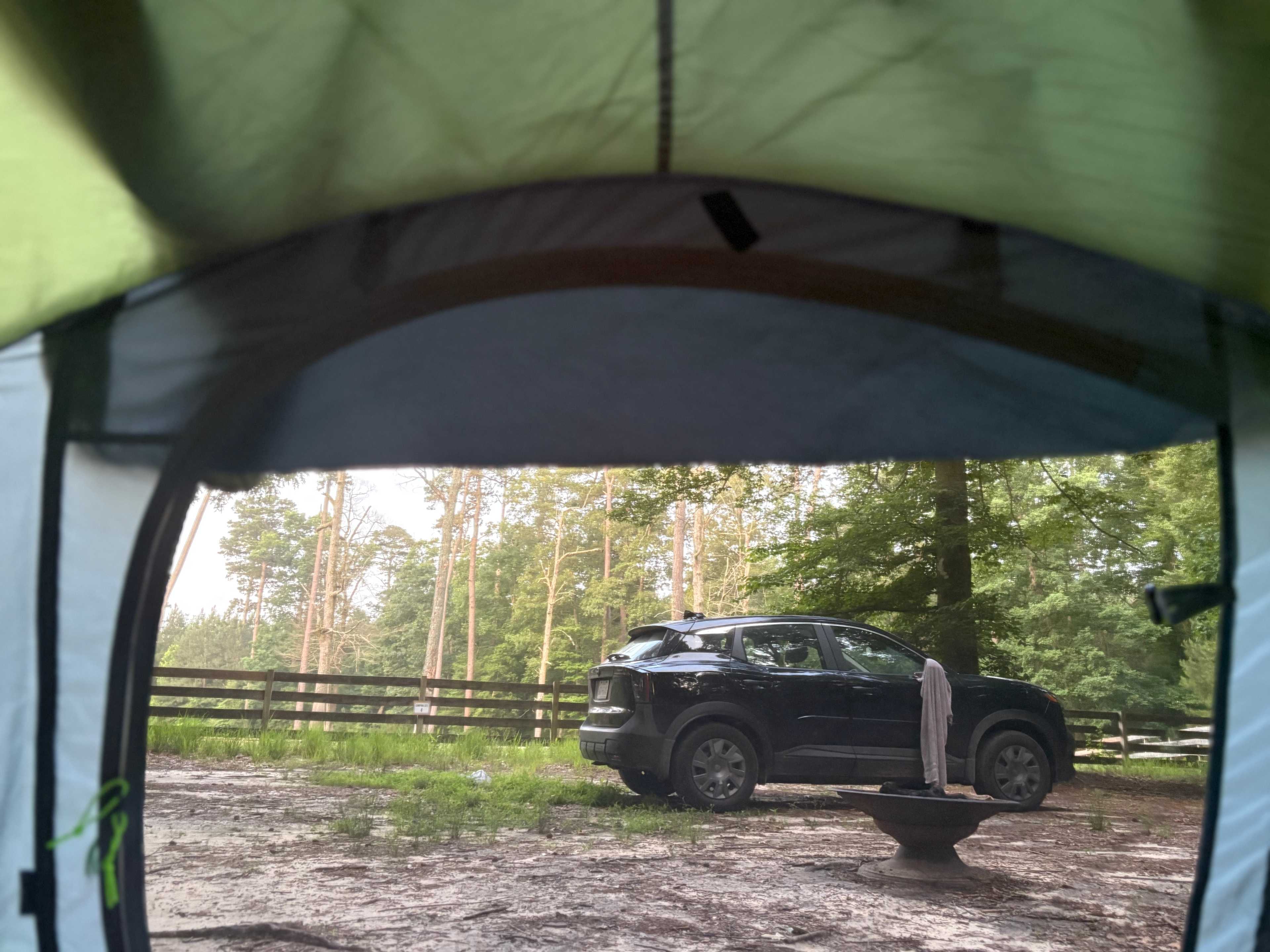 Our morning view