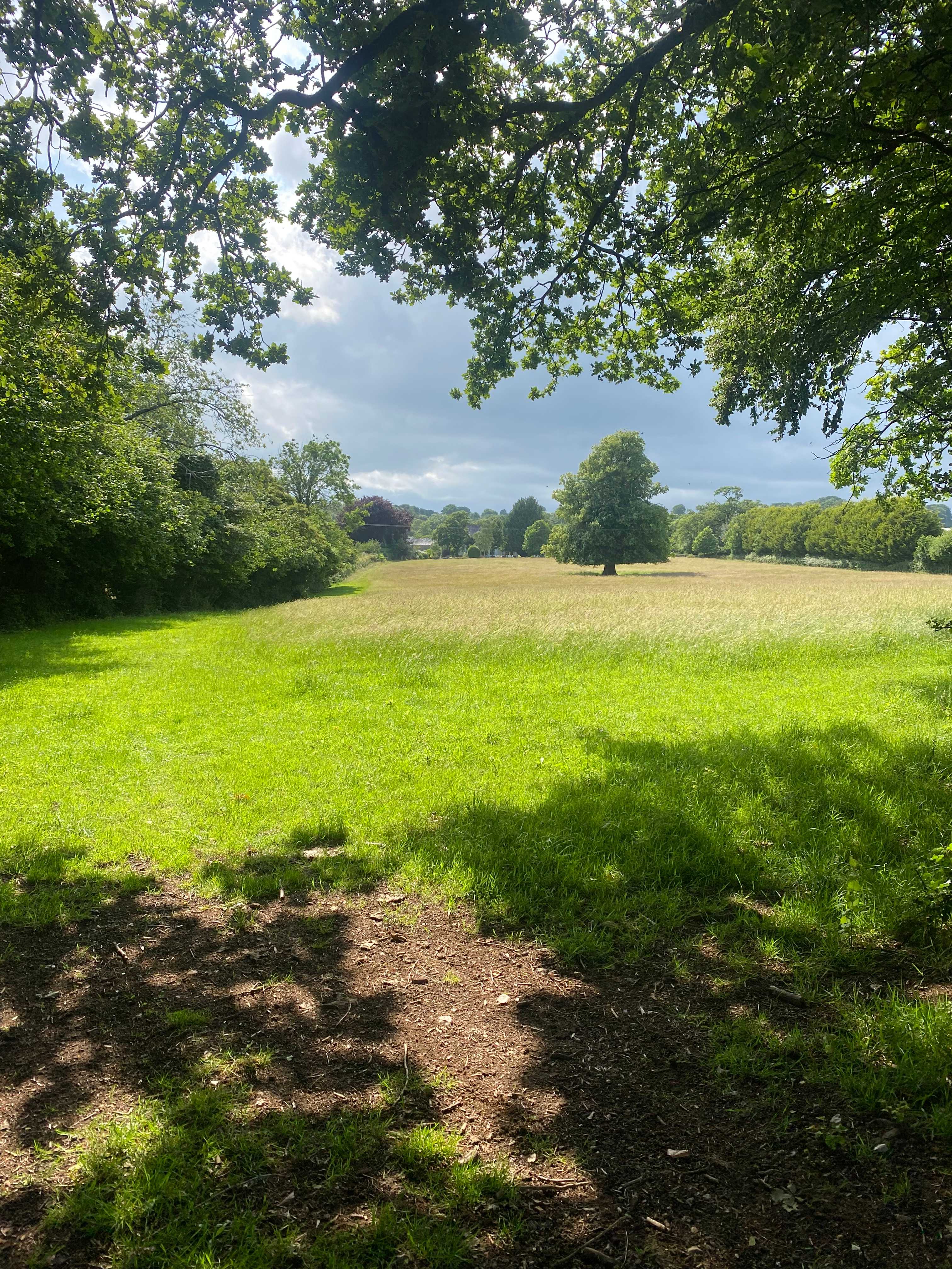 Goren Farm
