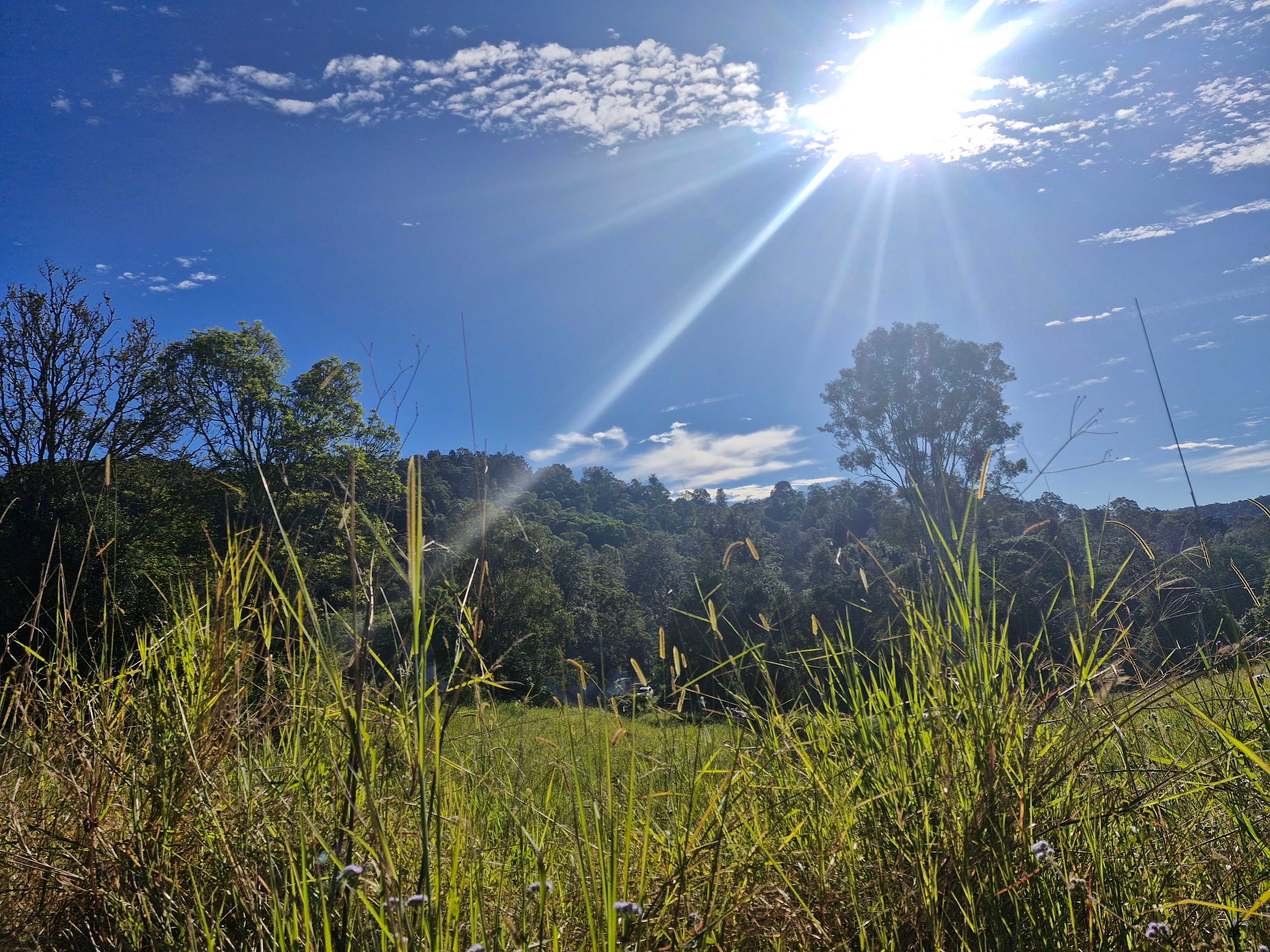 Kookaburra Park Animal Sanctuary
