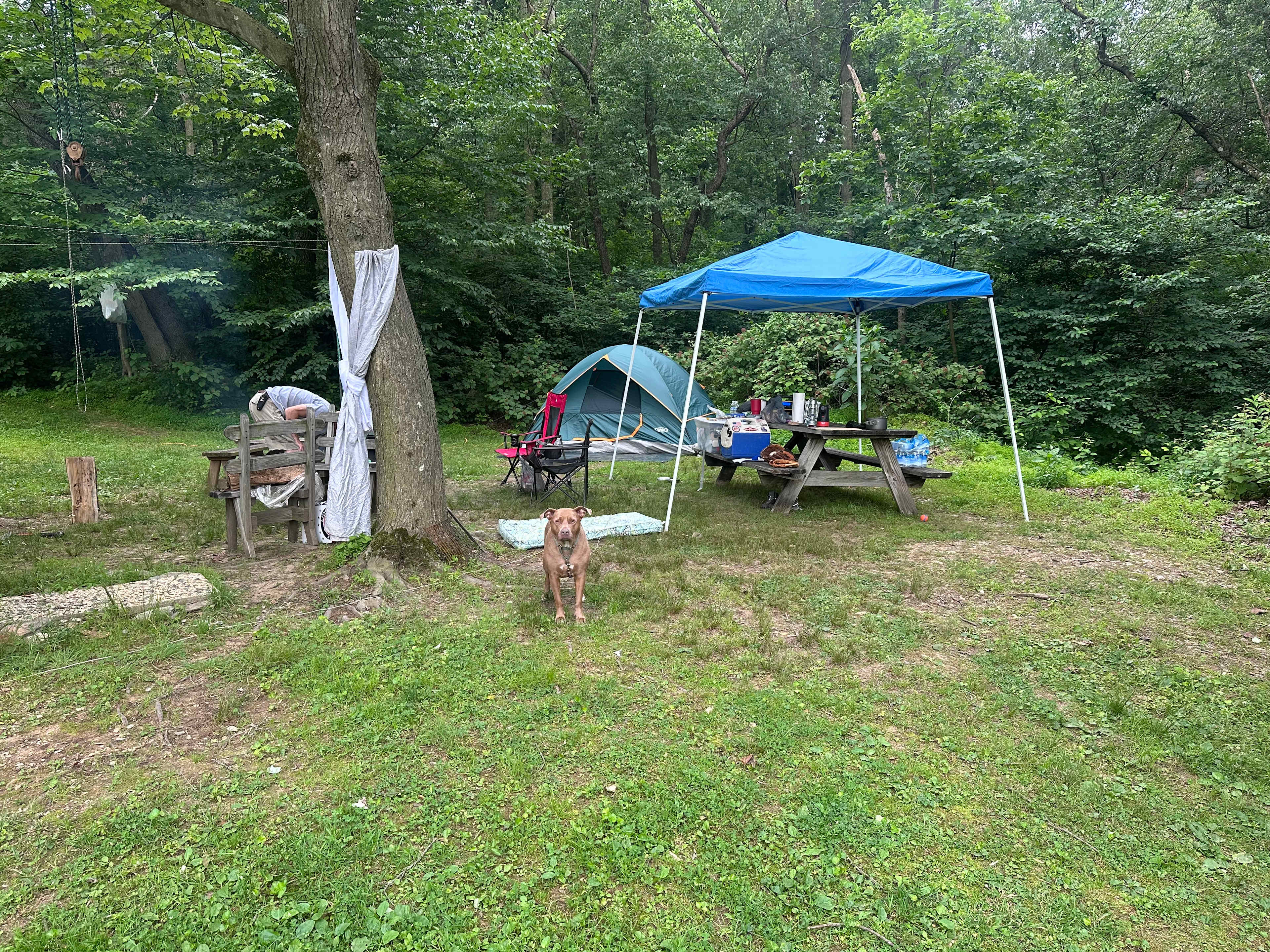 Pinnacle Orchard