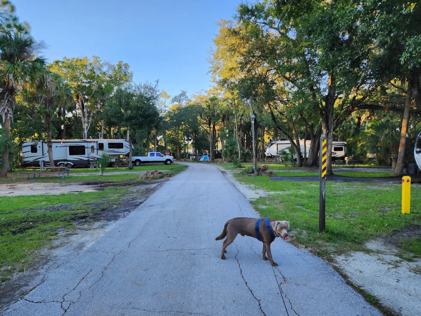 Manatee Hammock Park