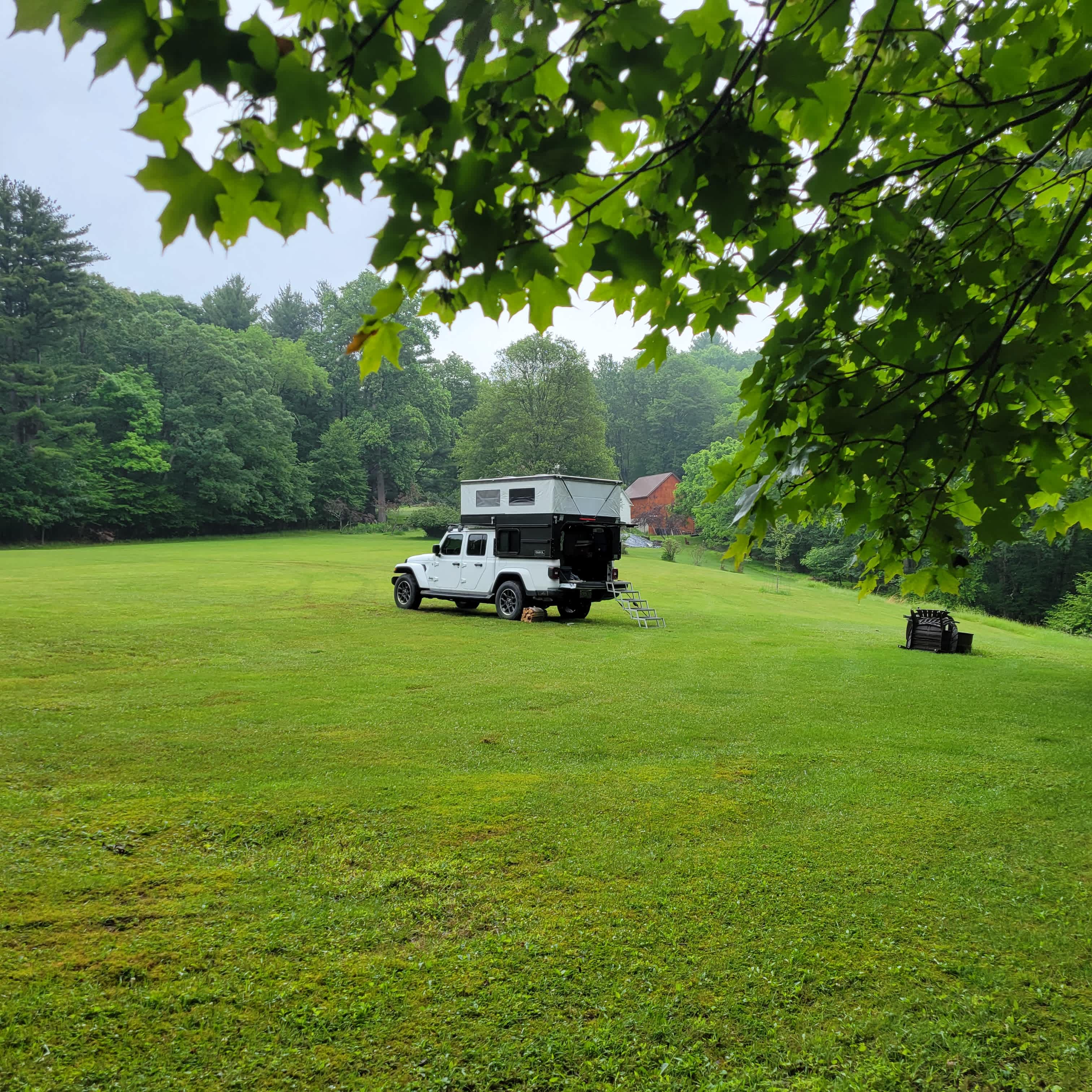 Forest or field camping