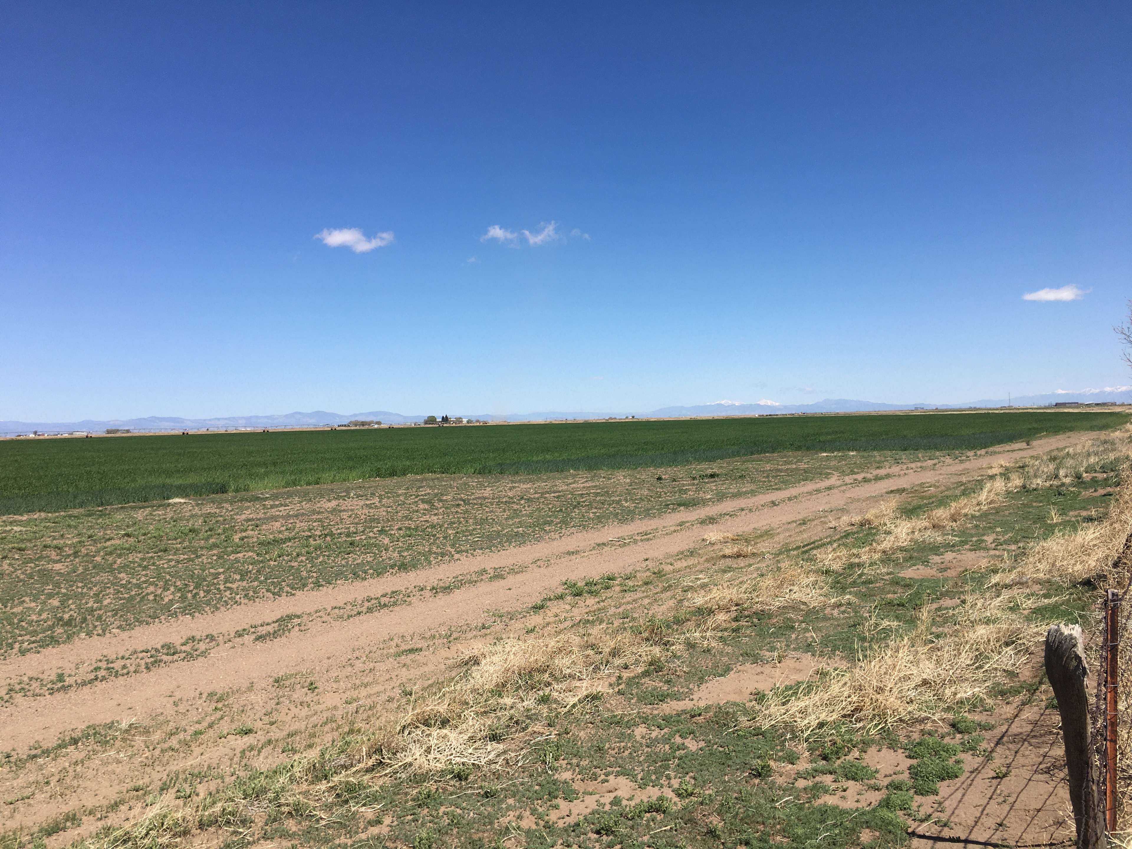 Dune Valley Distillery Campground