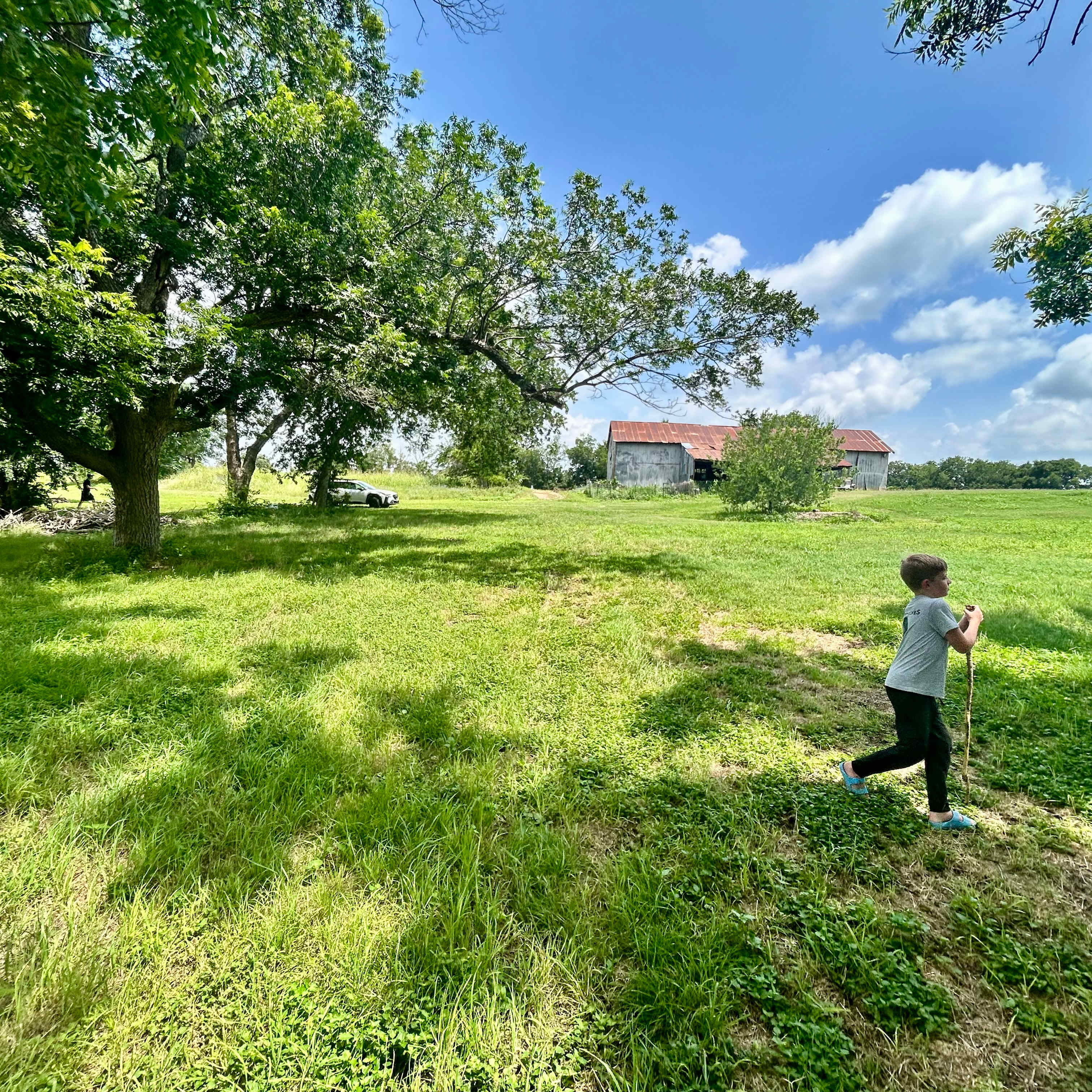 McDonald Farm