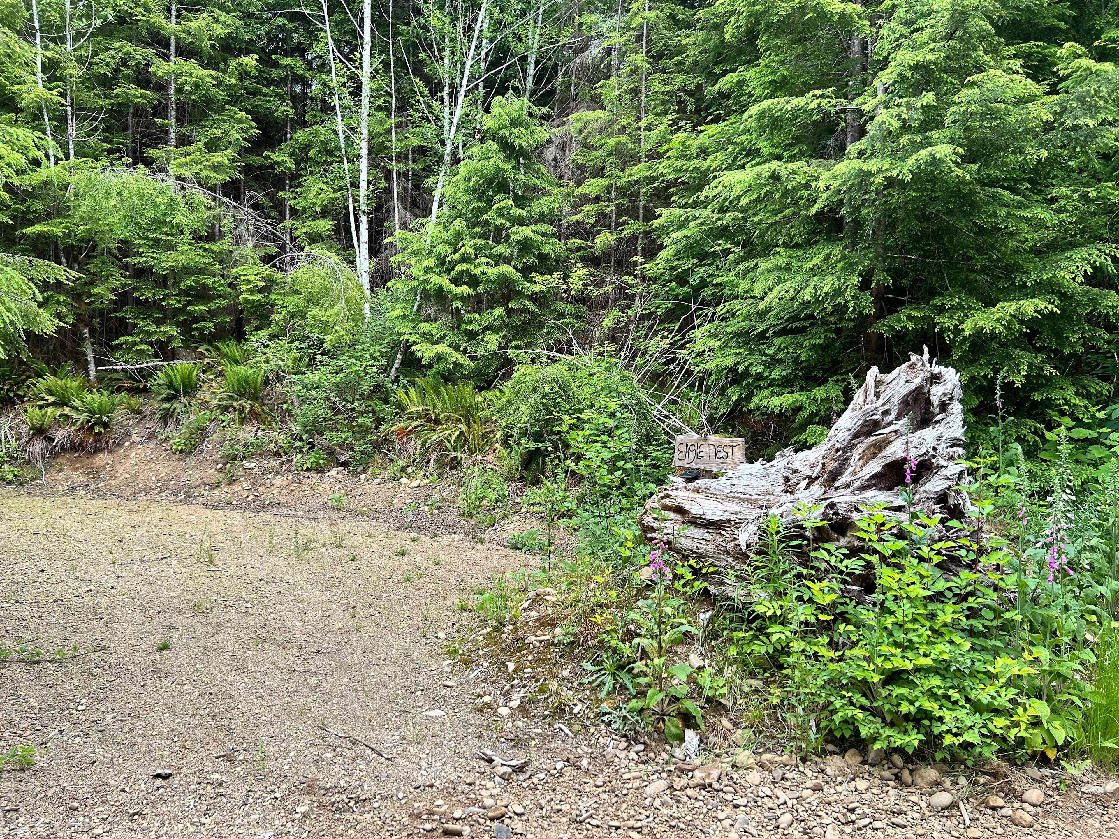 Dawleys SolDuc River Campground