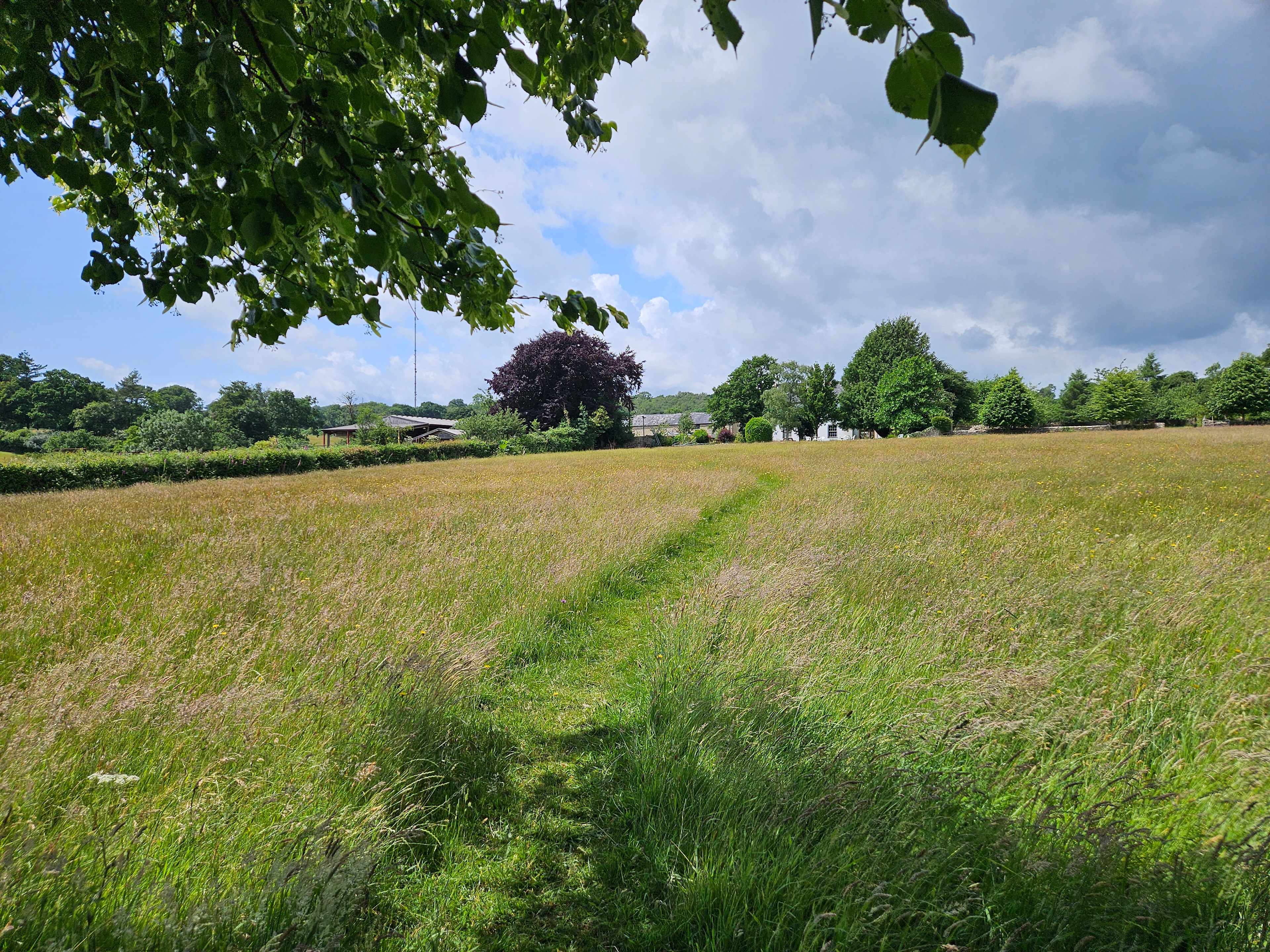 Goren Farm