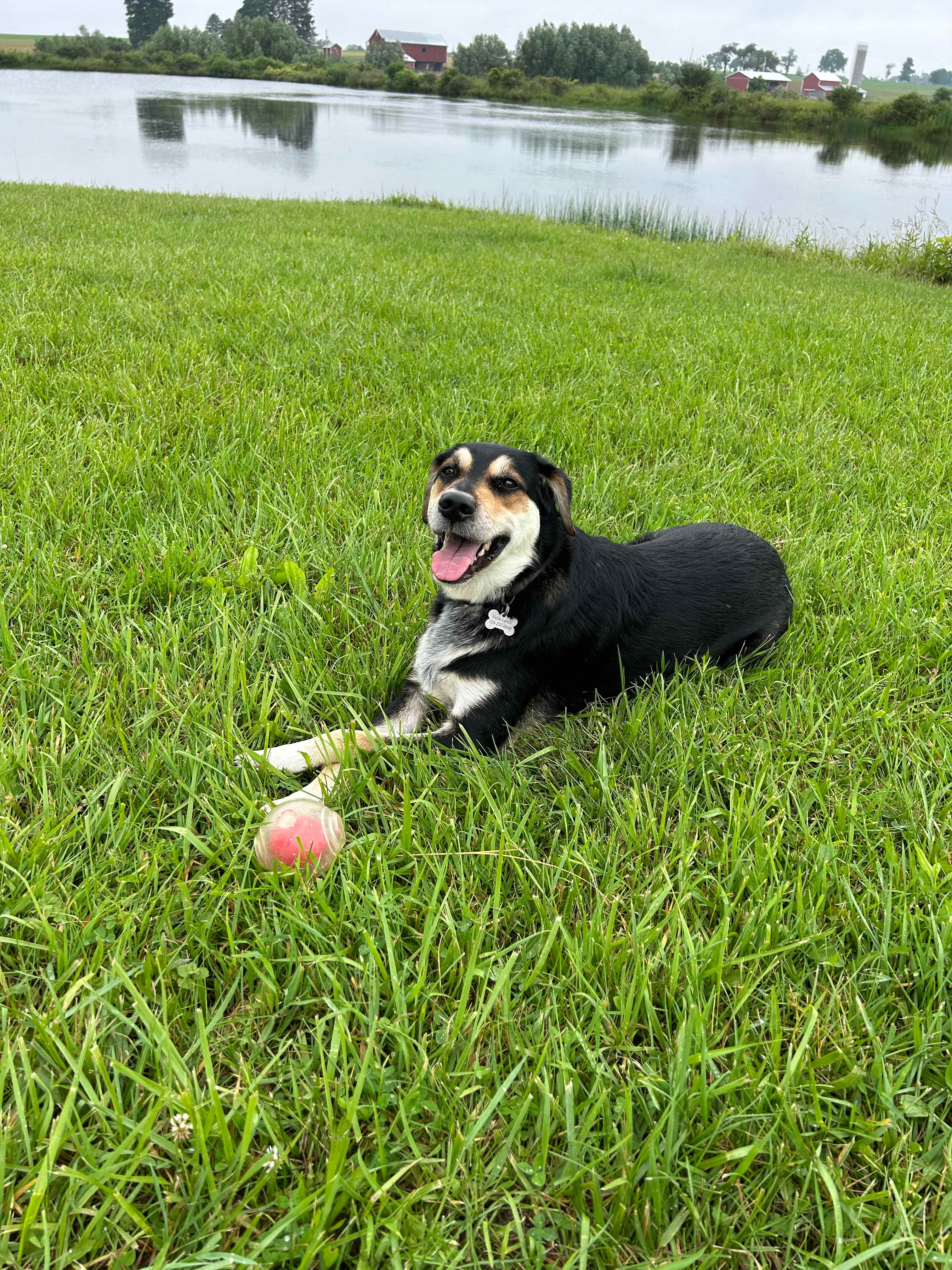 Paradise By The Pond