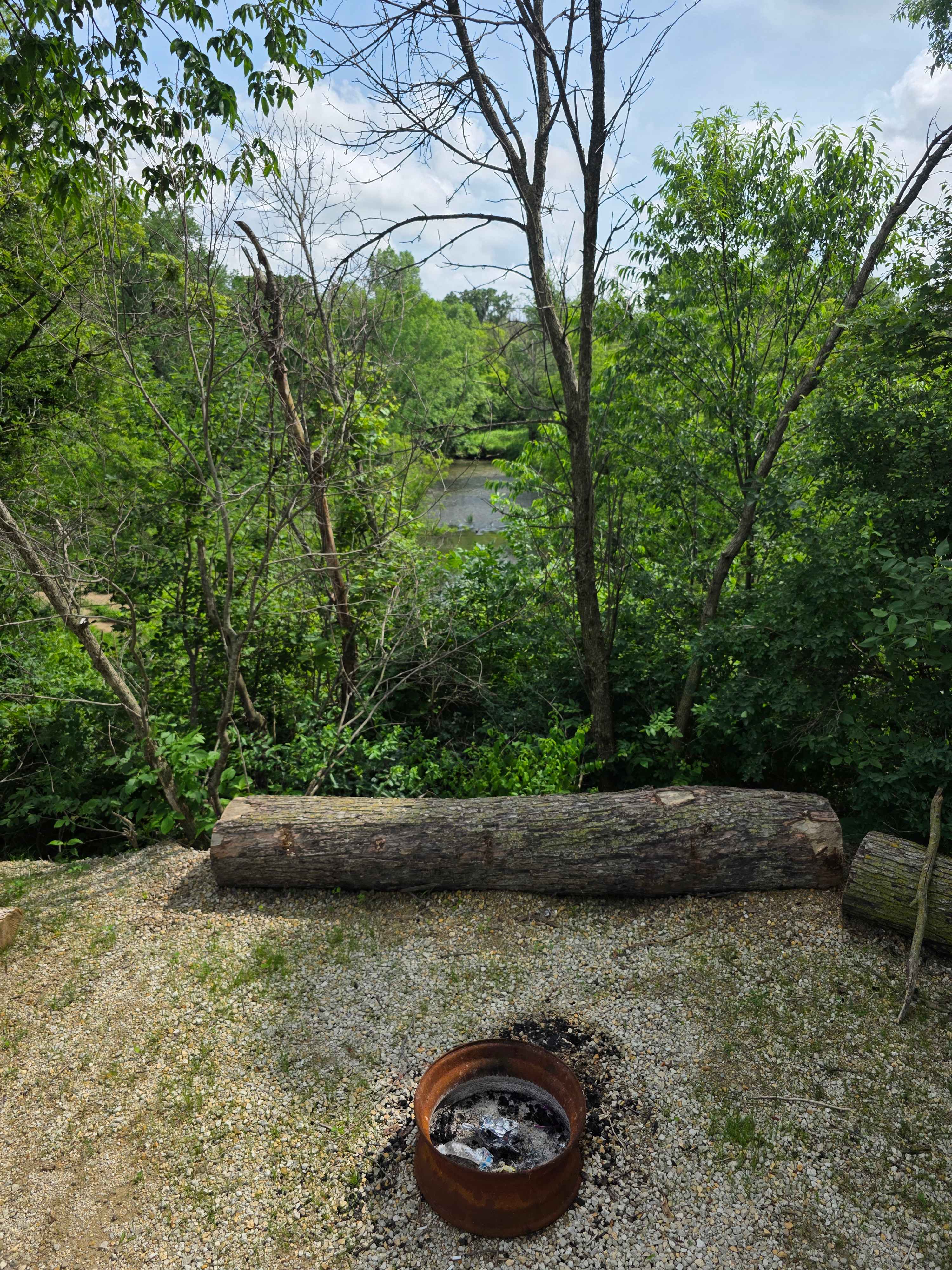 Picture of the site