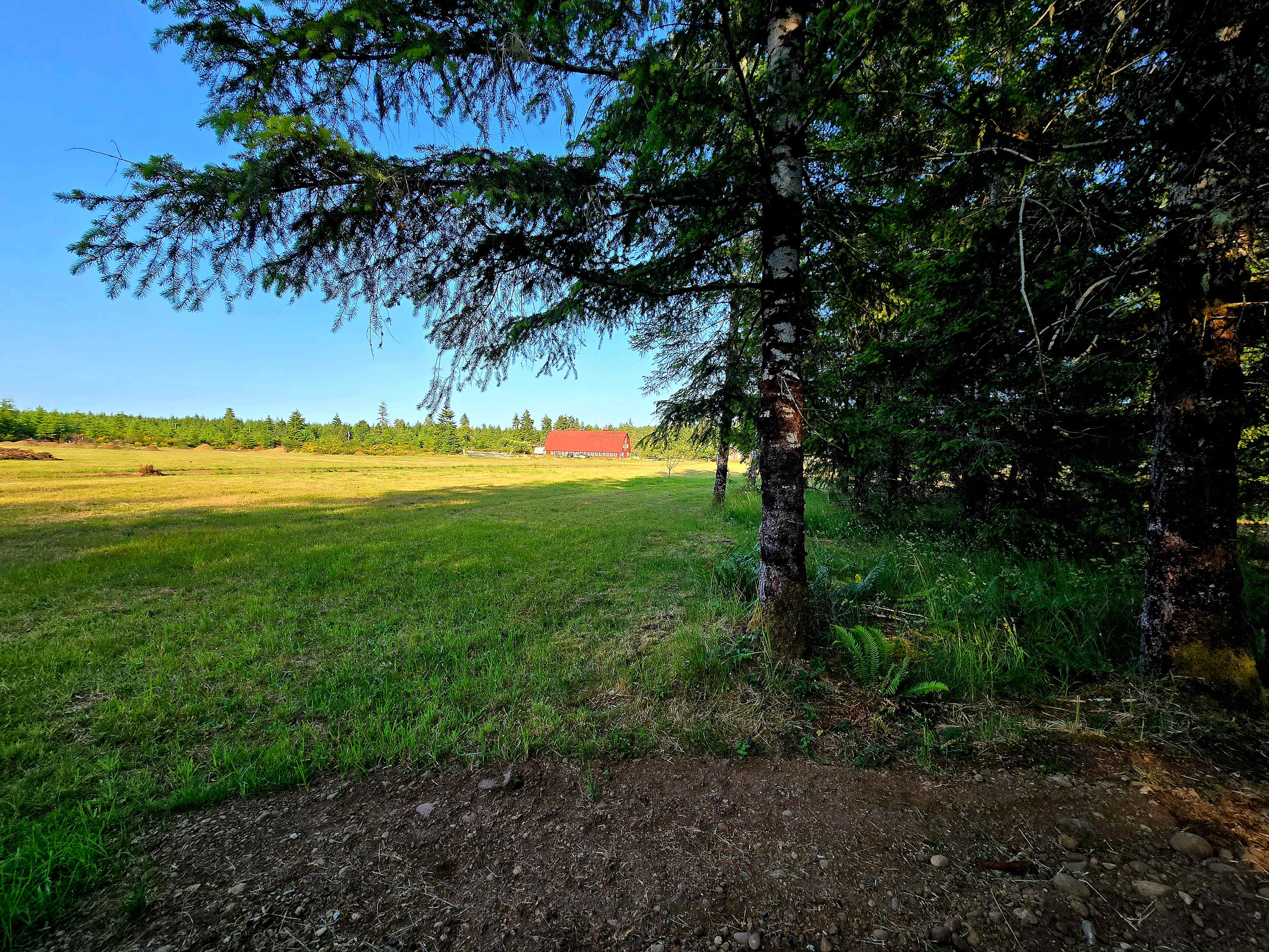 Shaw Family Farm