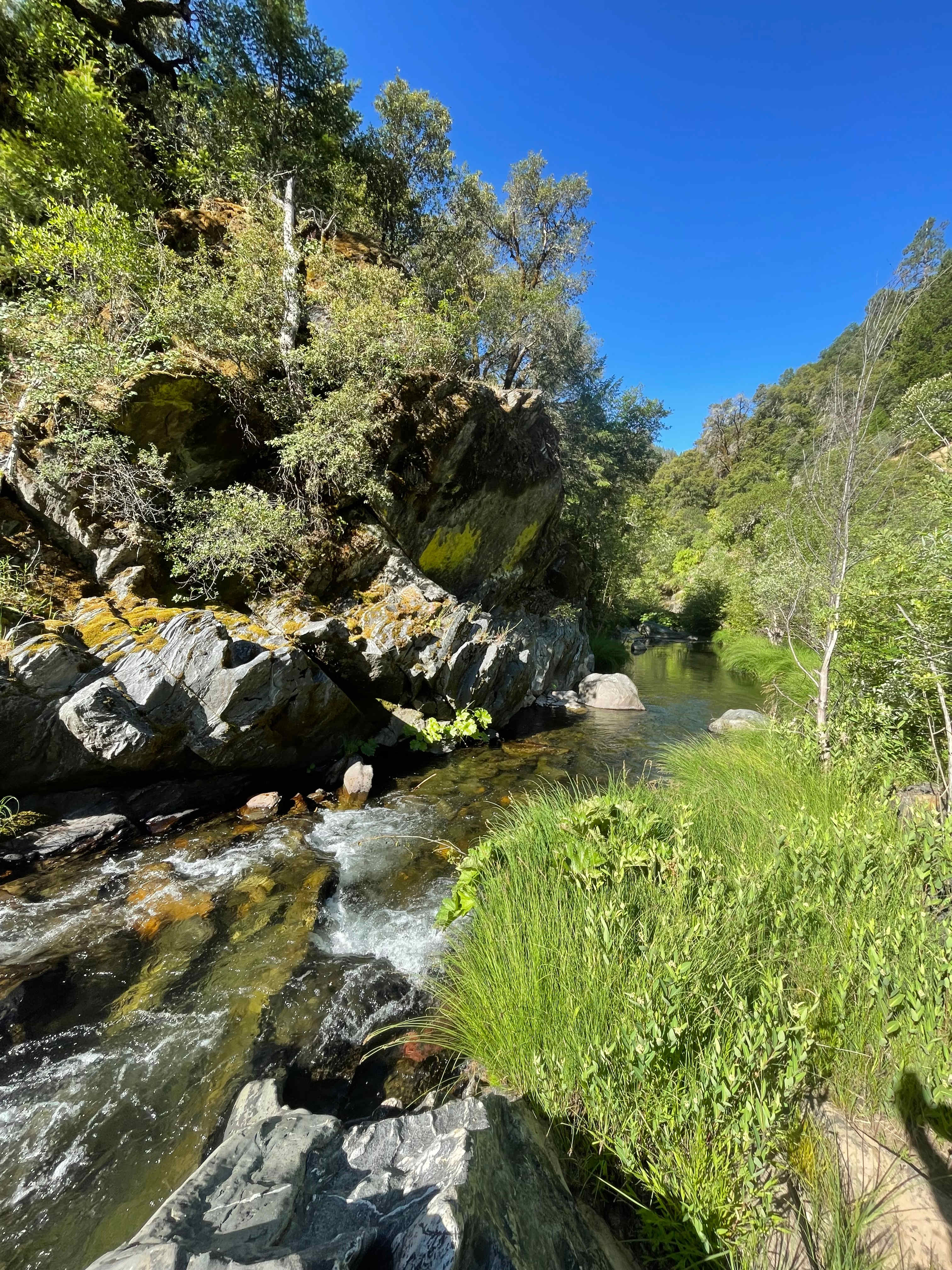 Strange Ranch - River and Gold