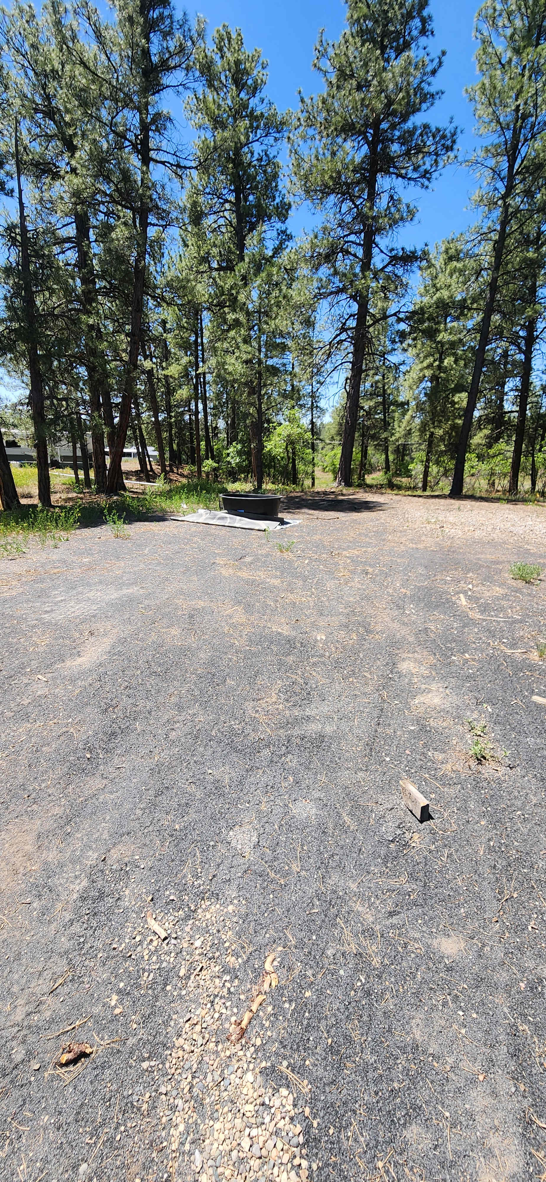 Walkable downtown Pagosa property