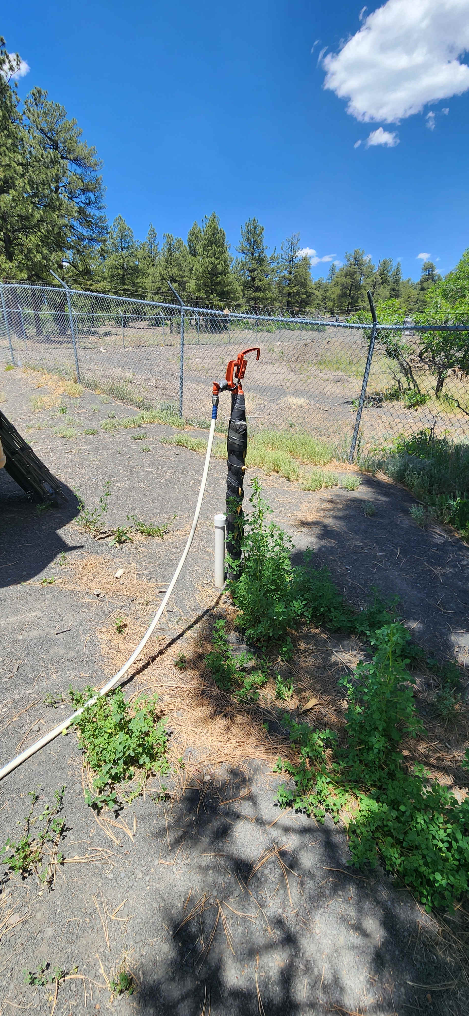 Walkable downtown Pagosa property