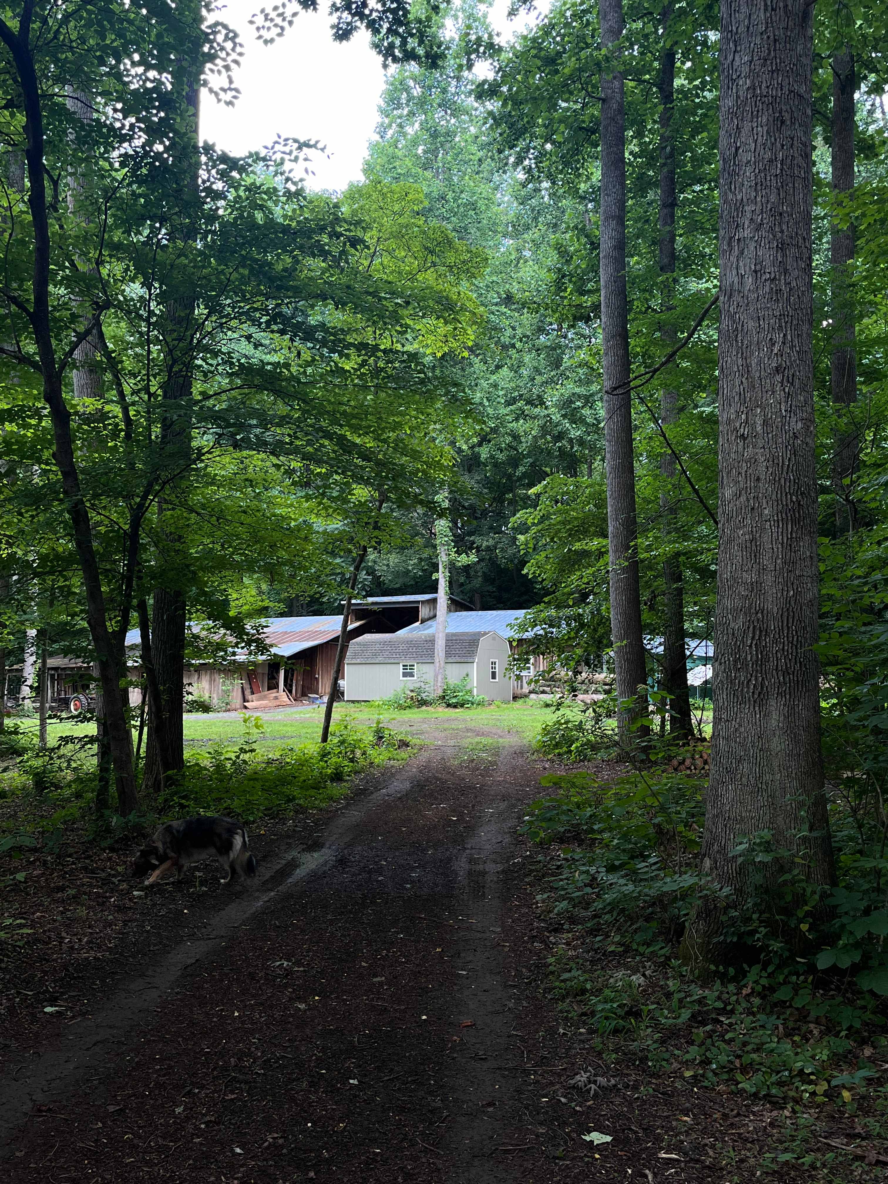Exiting the campsite 