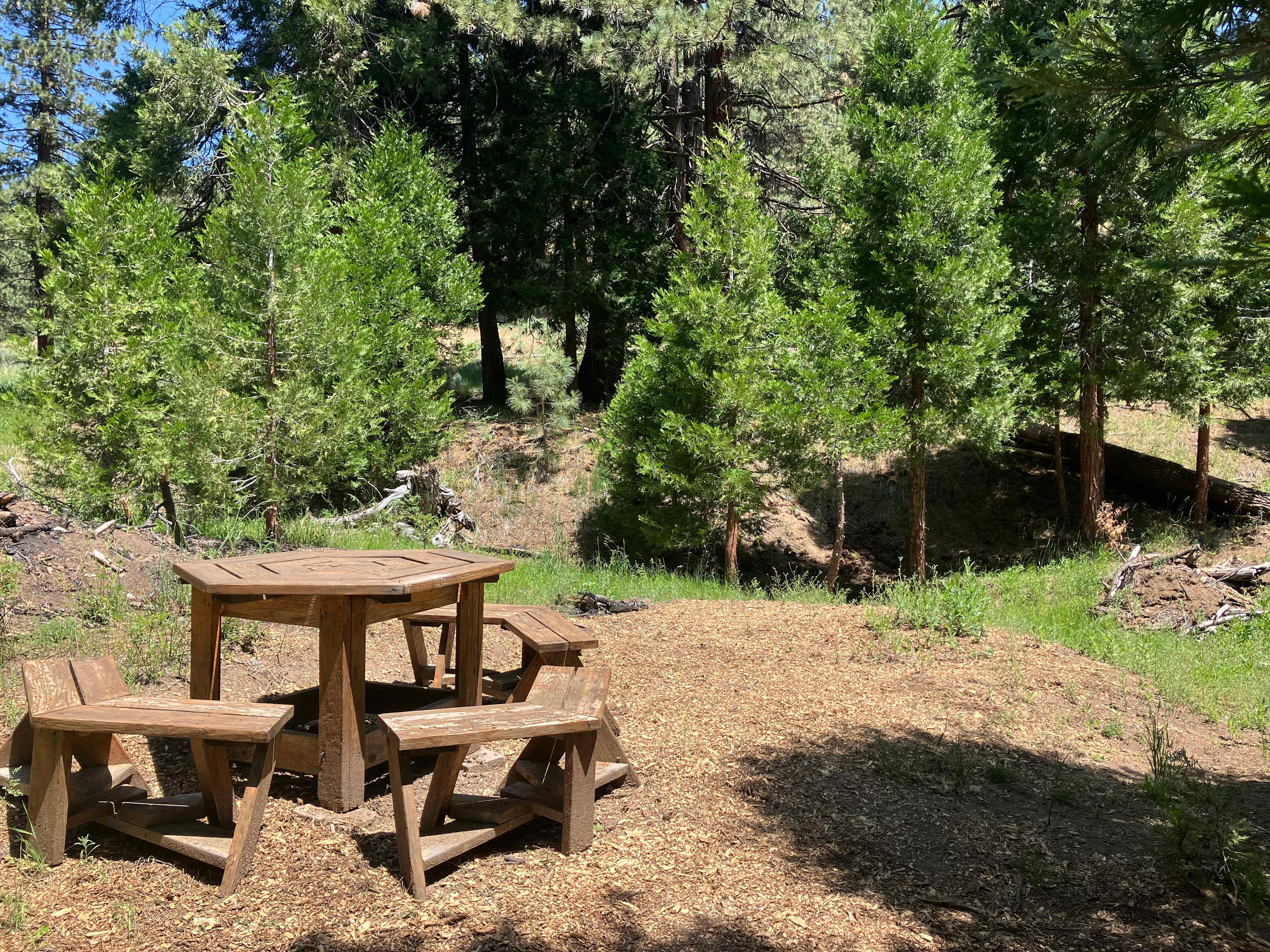 Spring Creek Camping