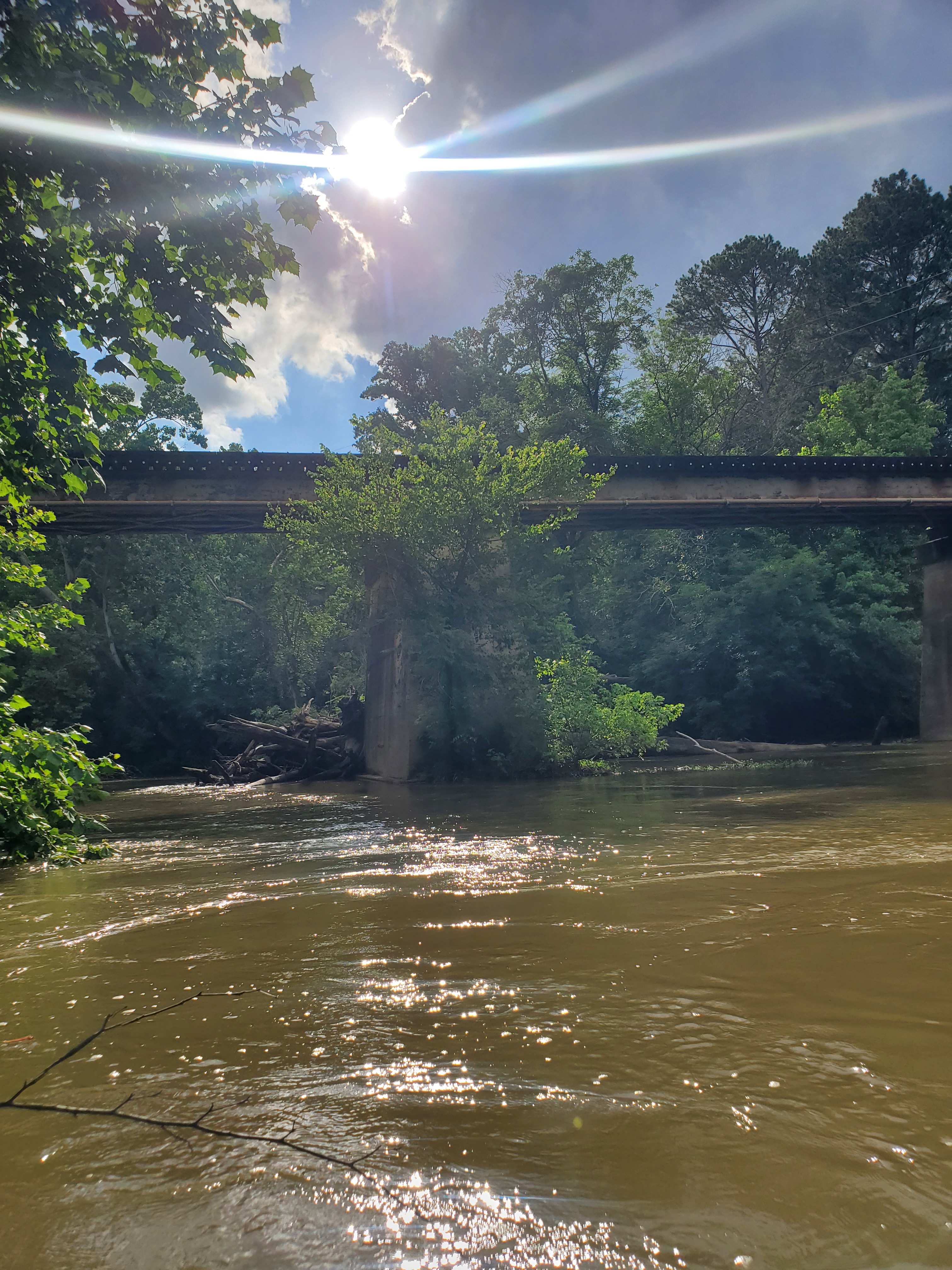 Nature Sanctuary in the City