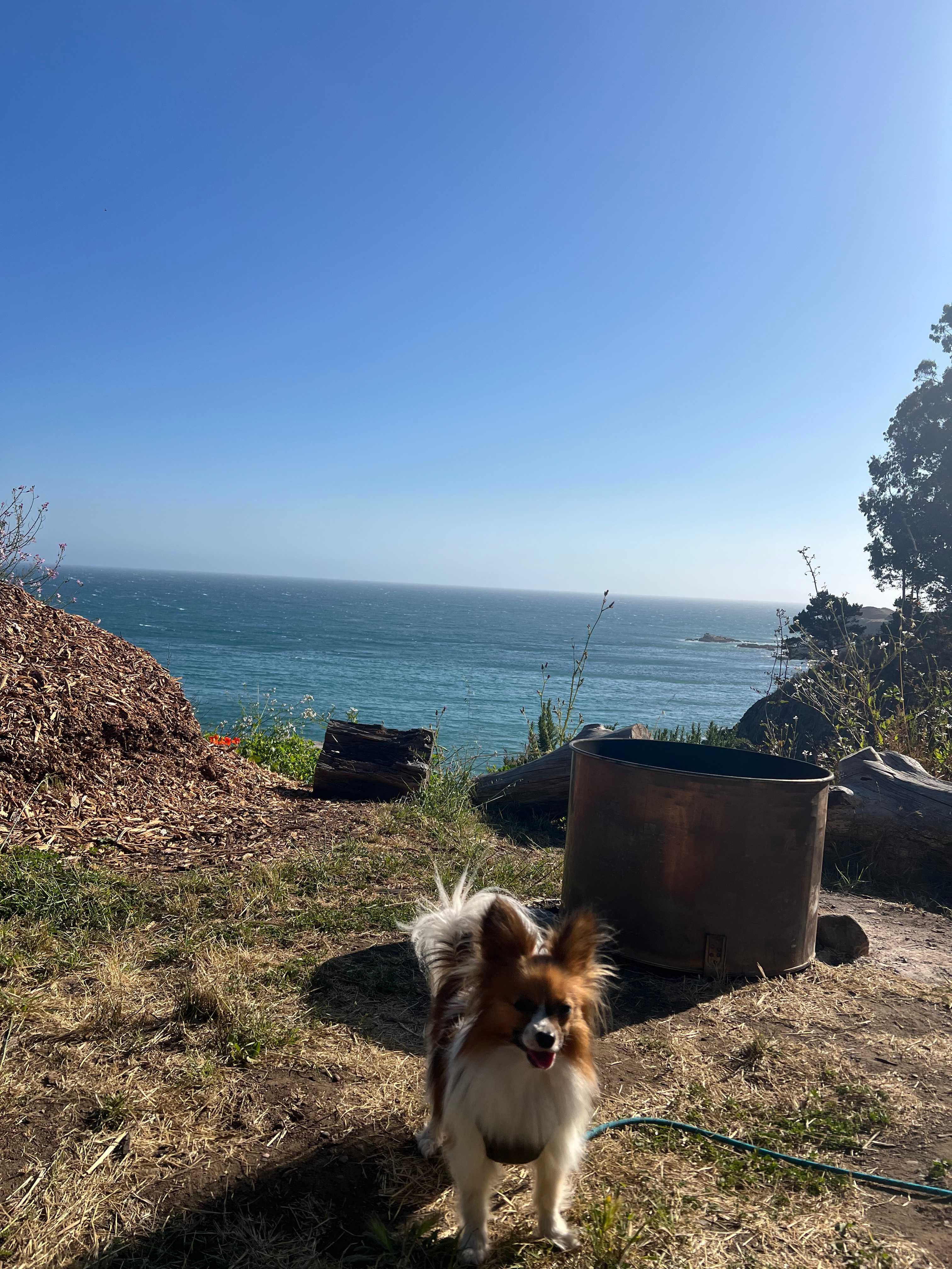 Timber Cove Campground