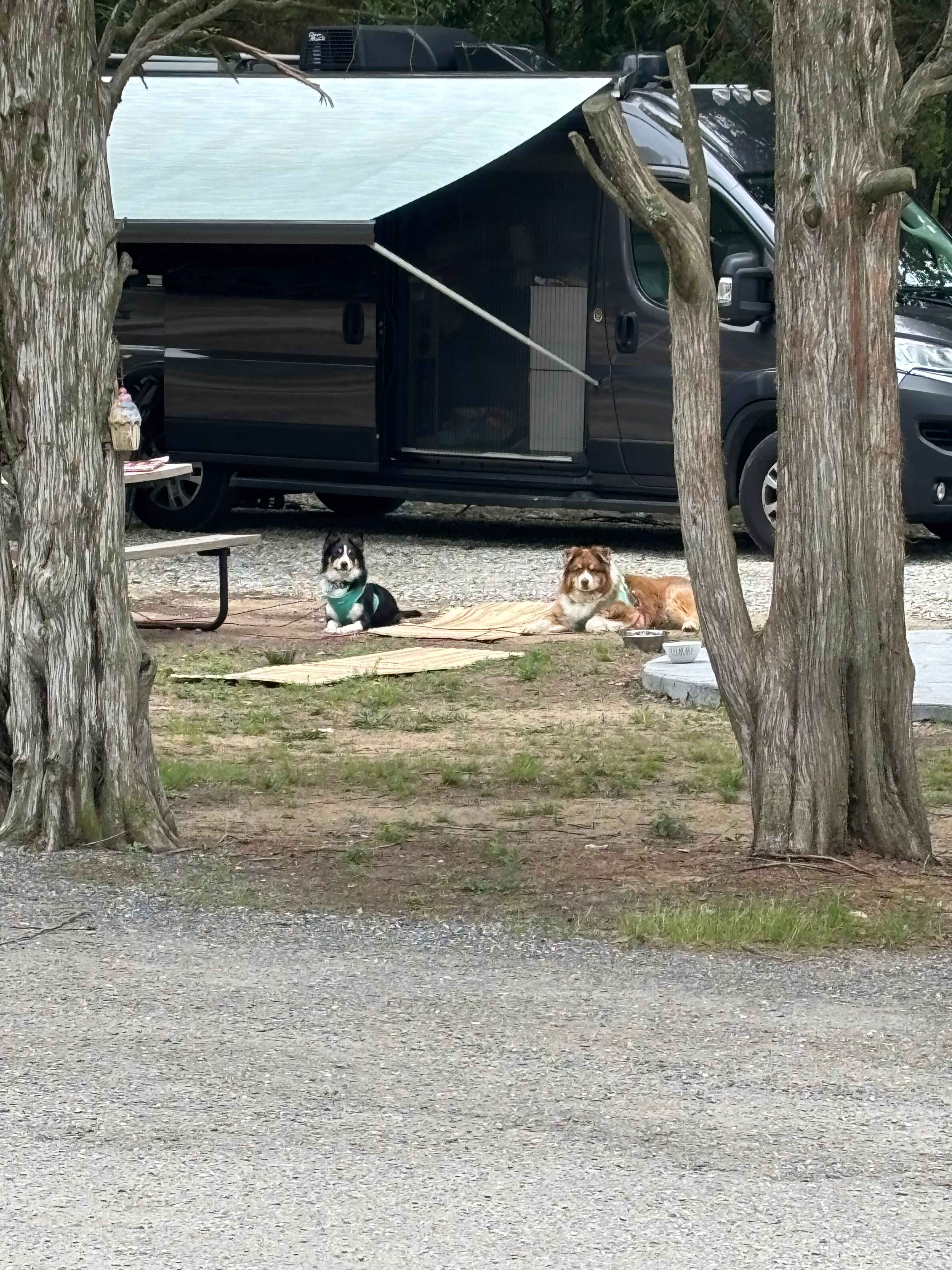 Duck Neck Campground