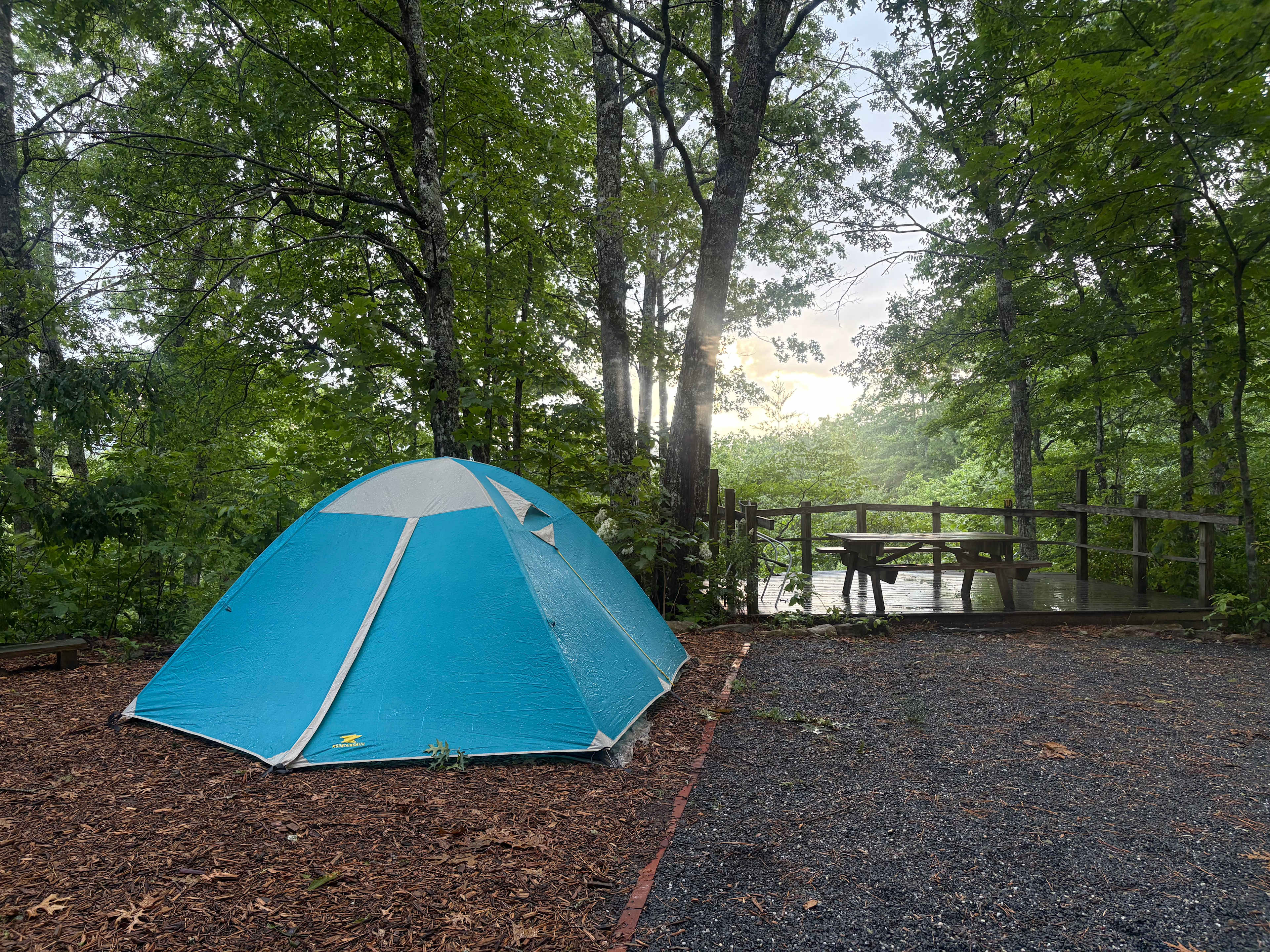 Silverbell Wood