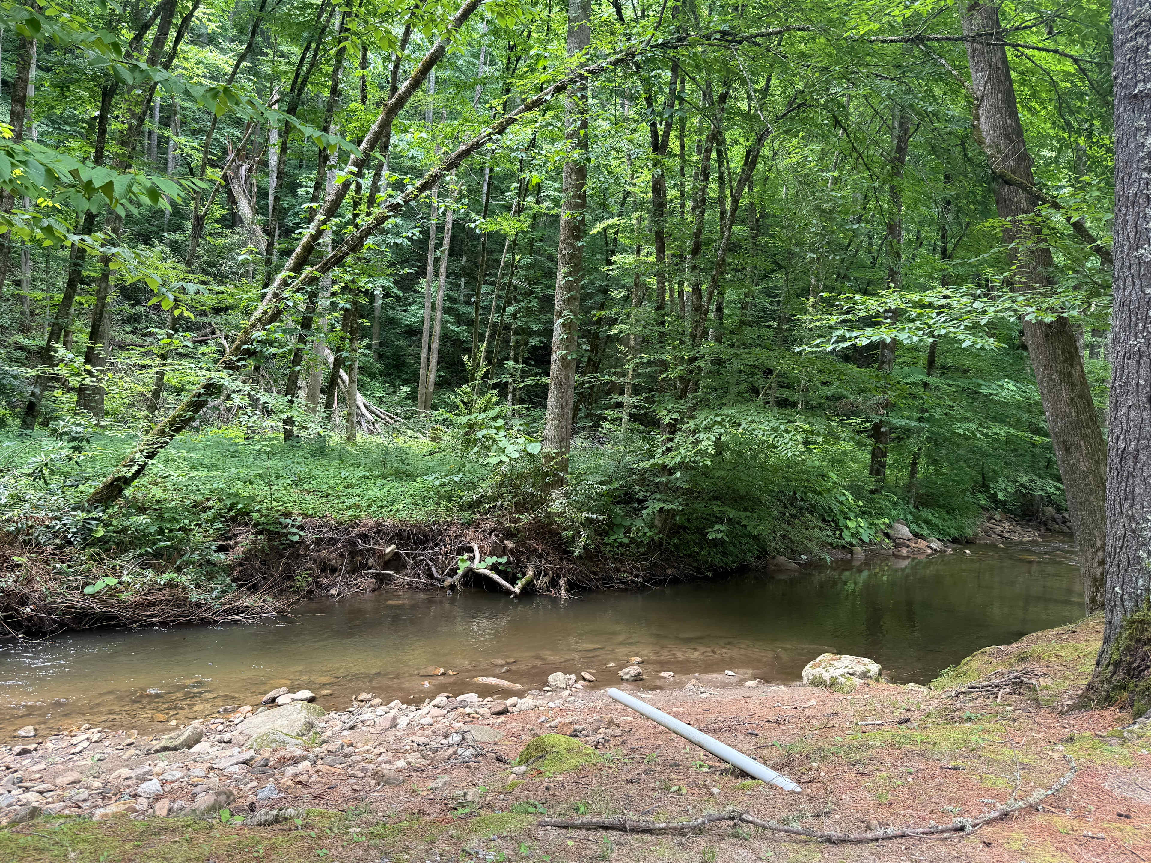 Trout Creek Campgrounds