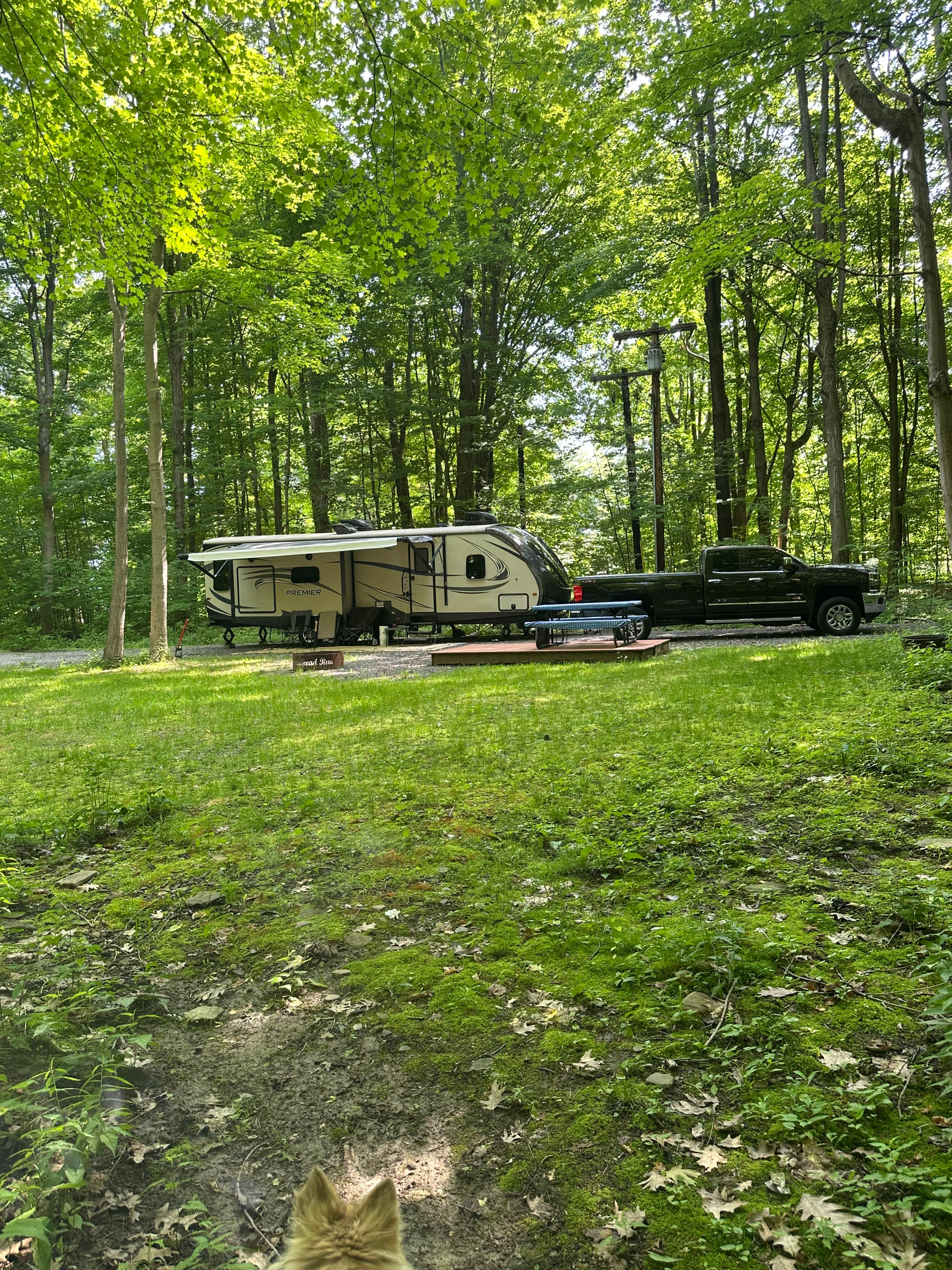 Steelhead Run Recreation Area