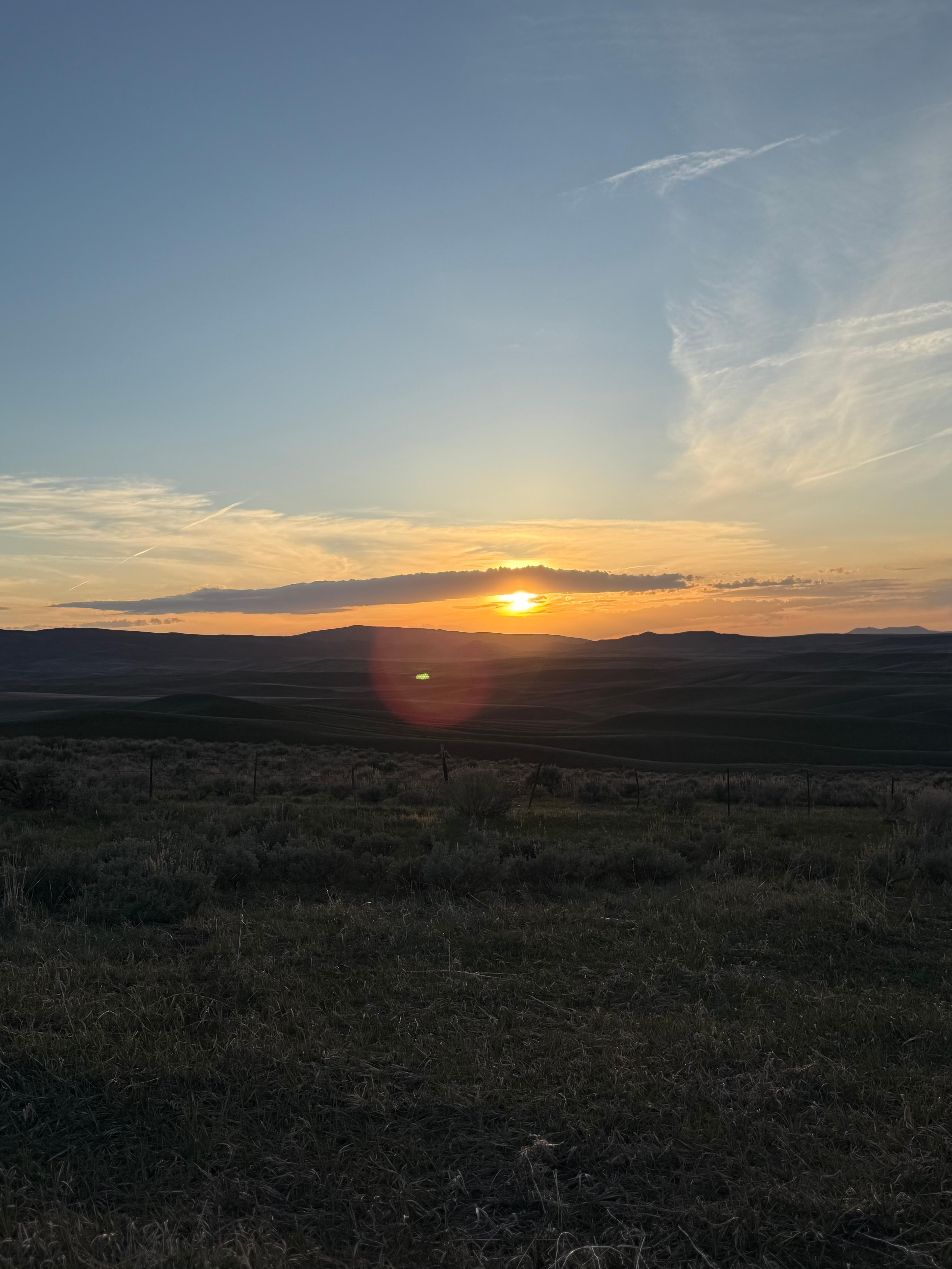 Sagebrush Solitude
