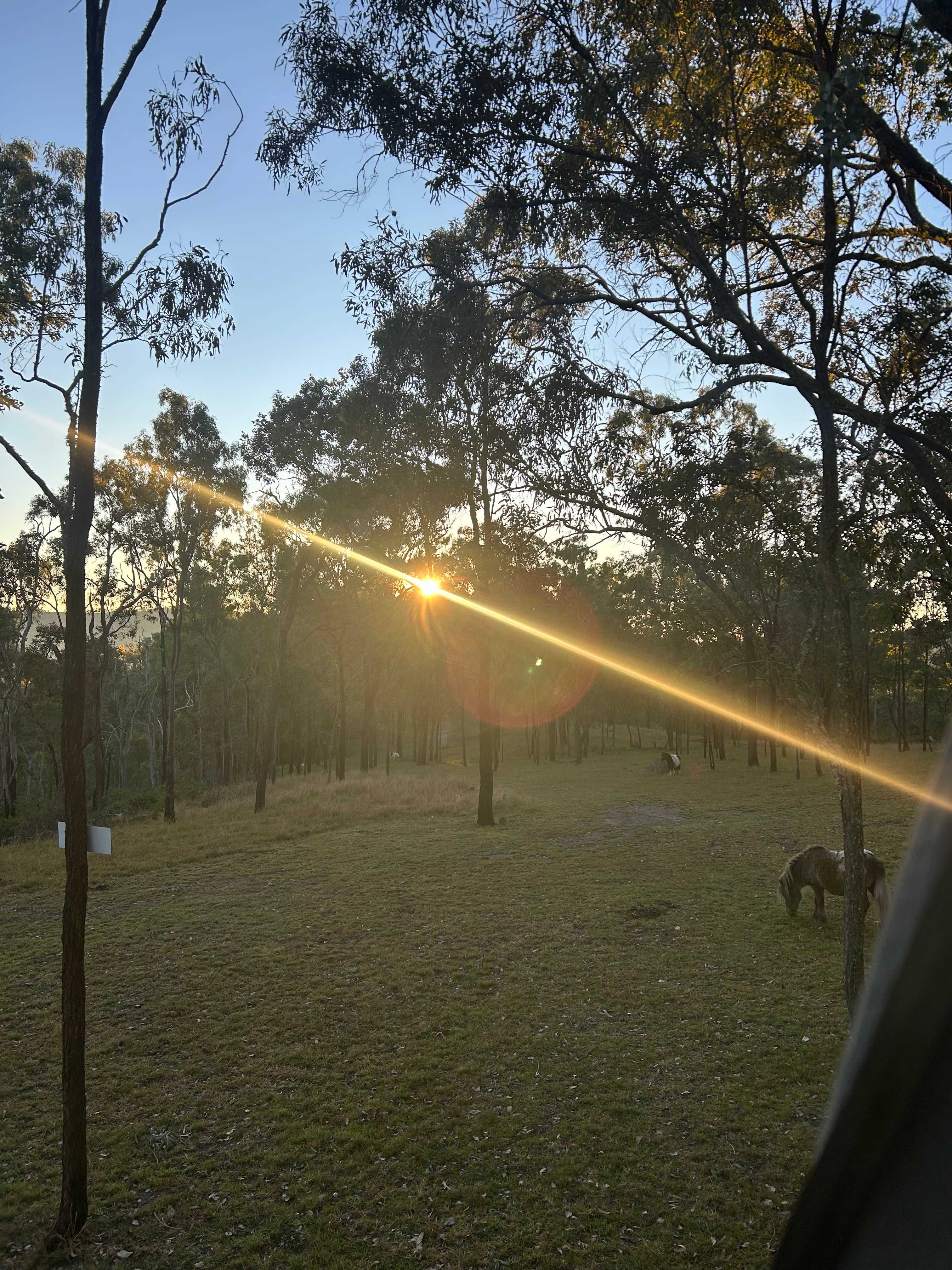 Possum Bush Retreat