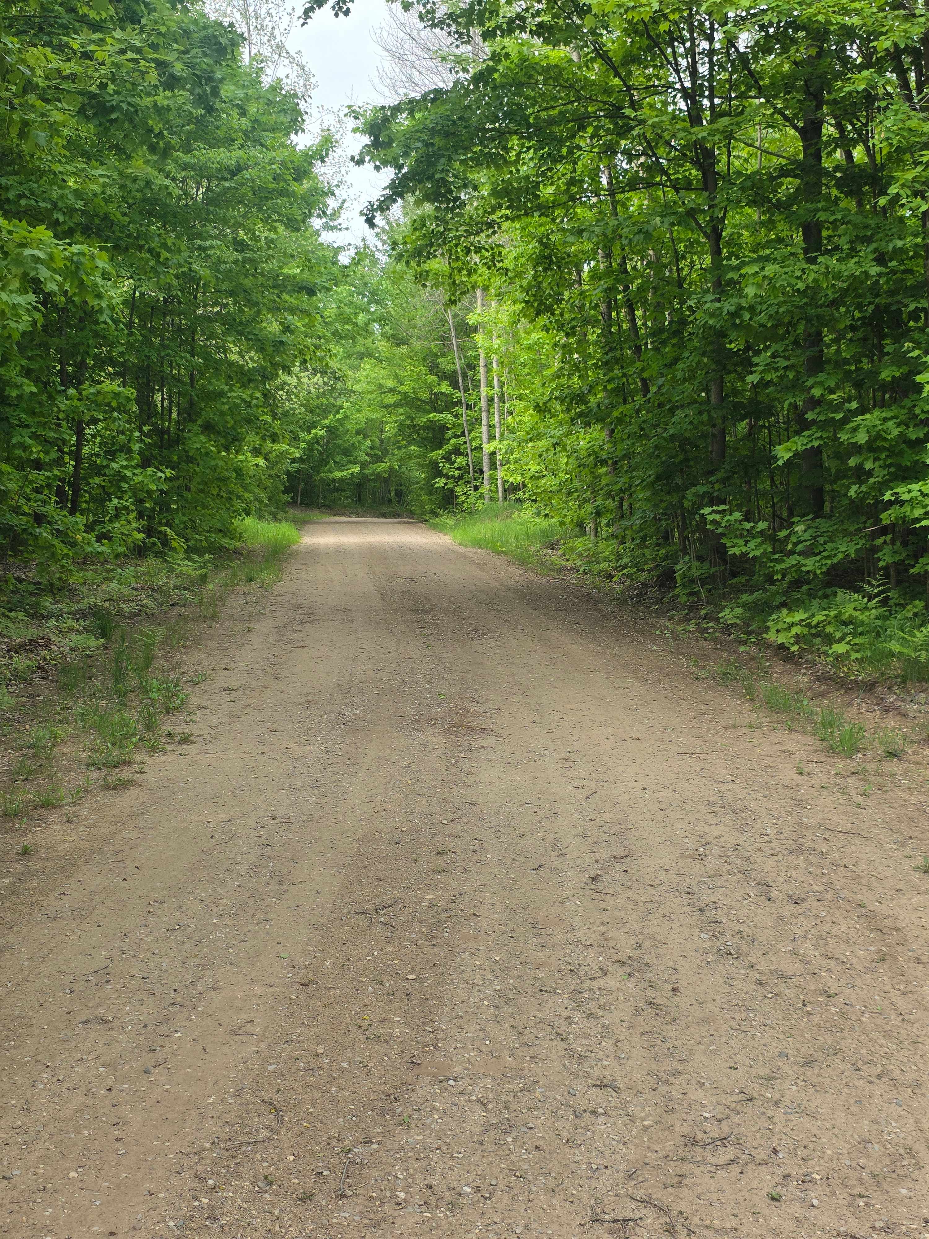 Woodhaven