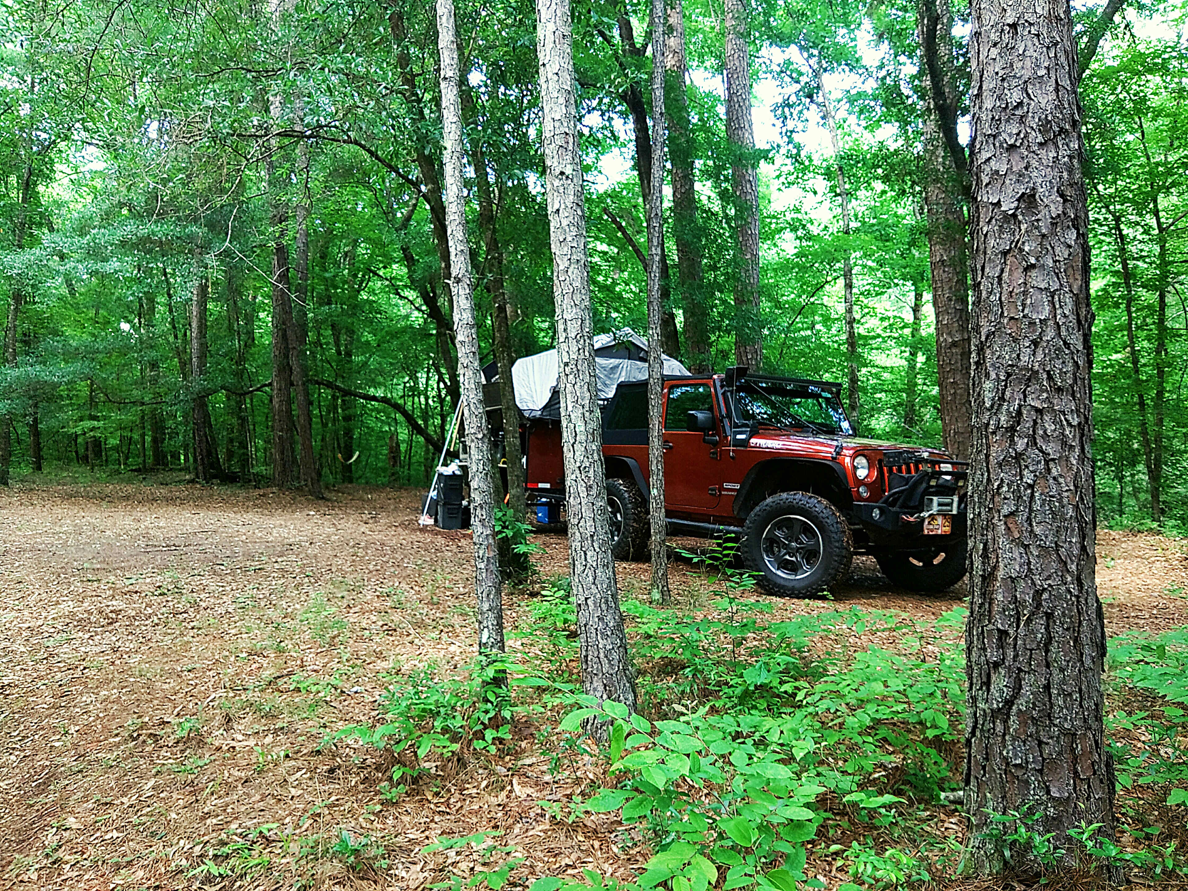 Secluded Riverbend Camp