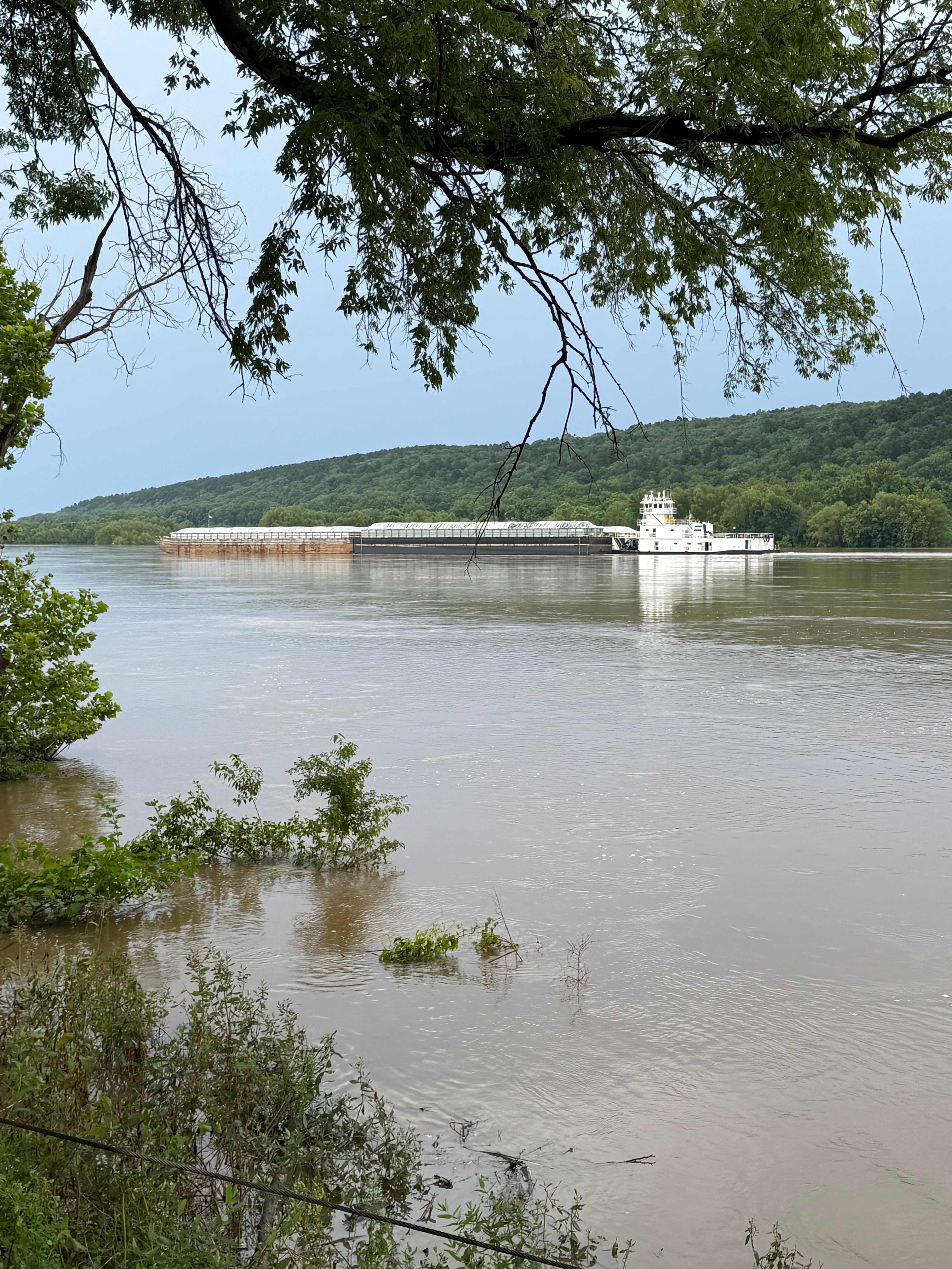 Tranquility on the Arkansas River