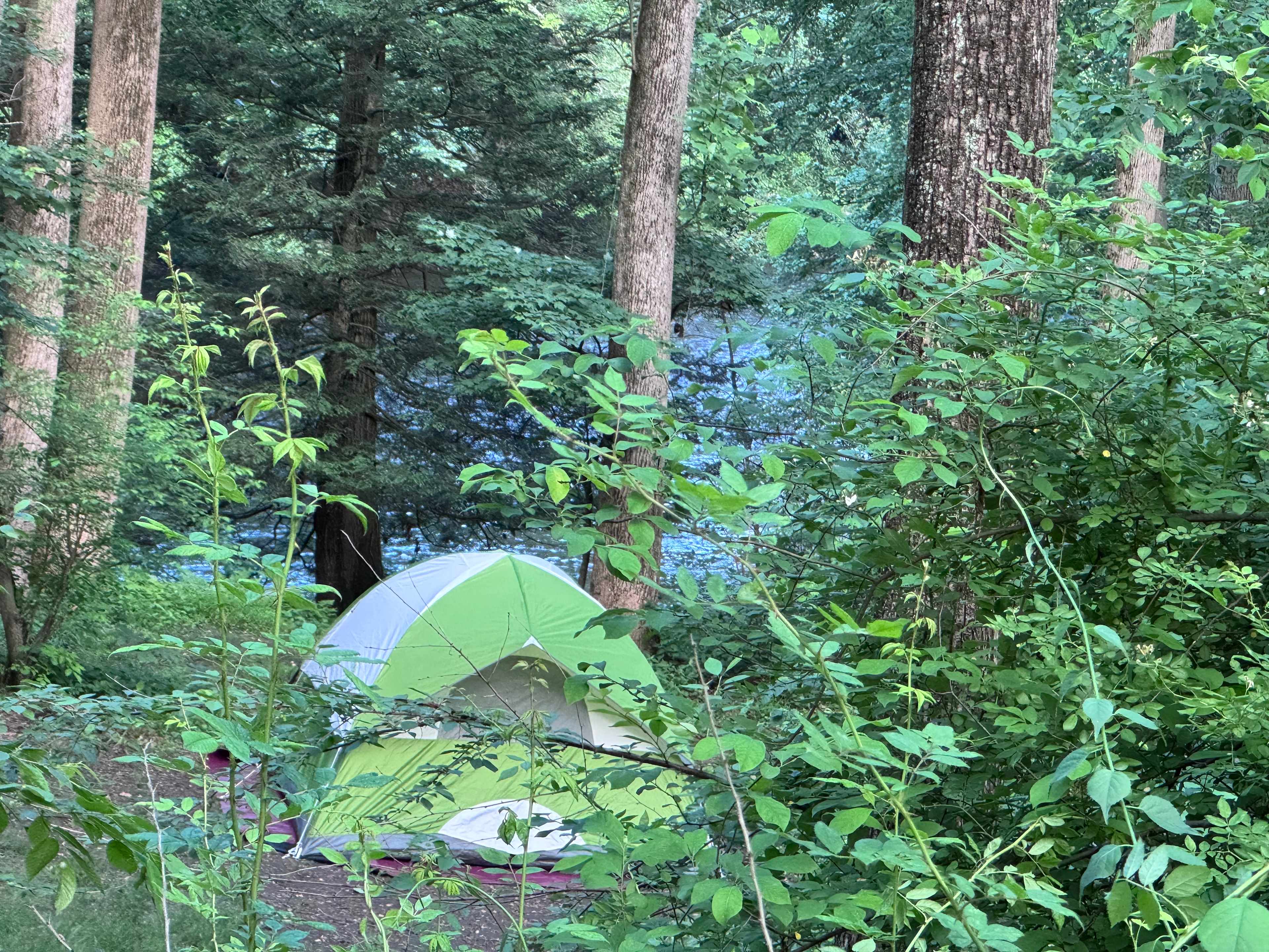 Peace & Quiet by the River!