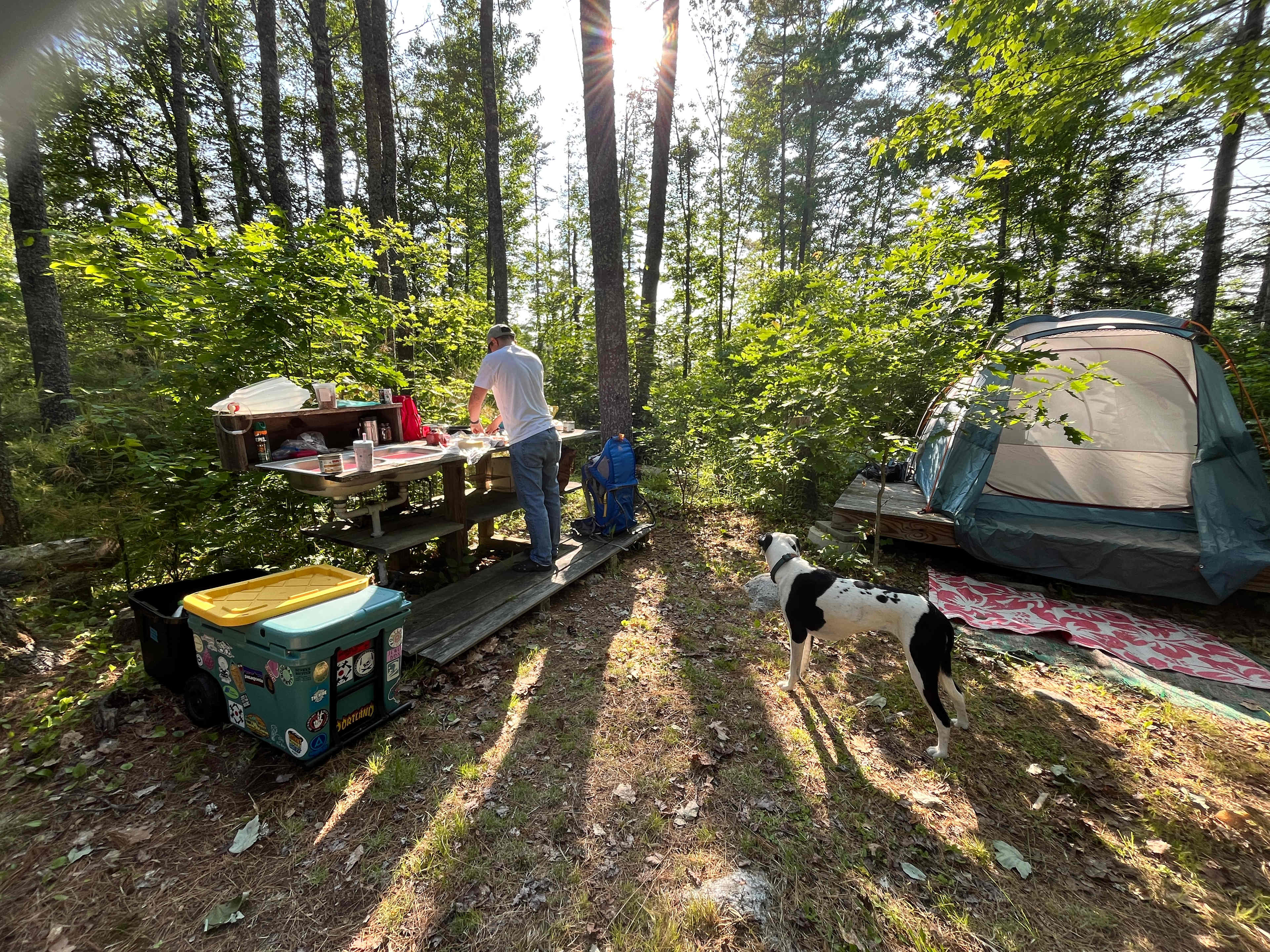 Tucker N.’s land