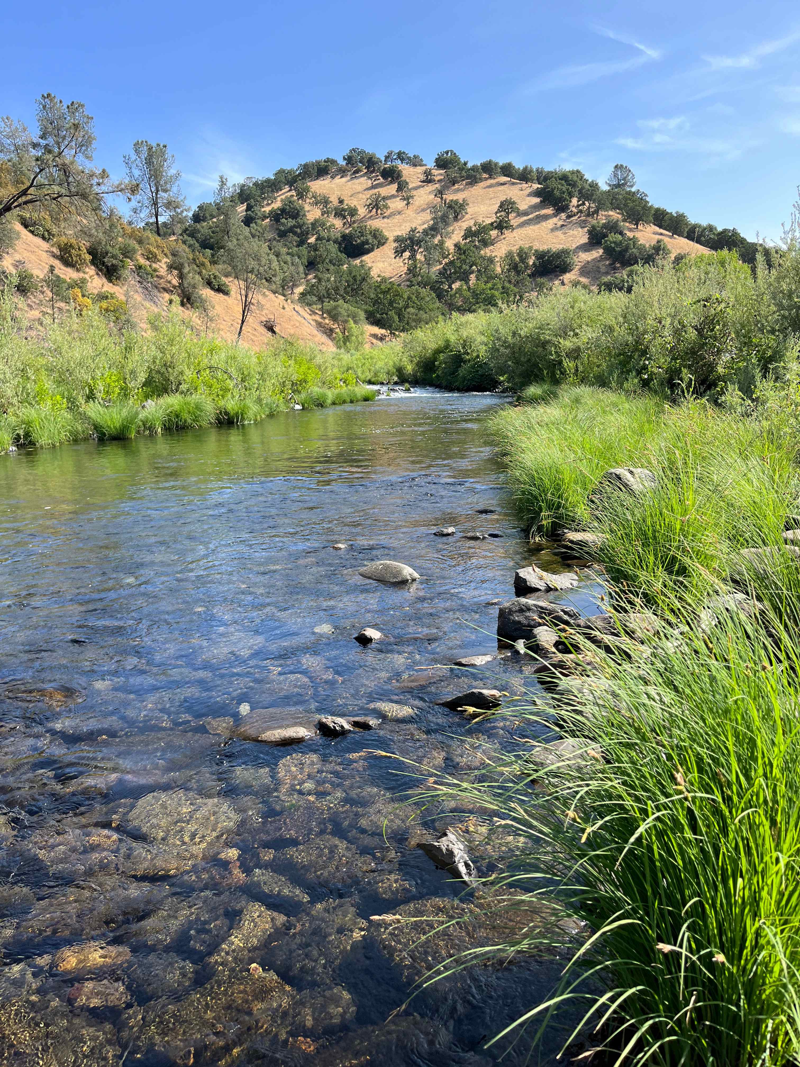 Cosumnes River Ranch