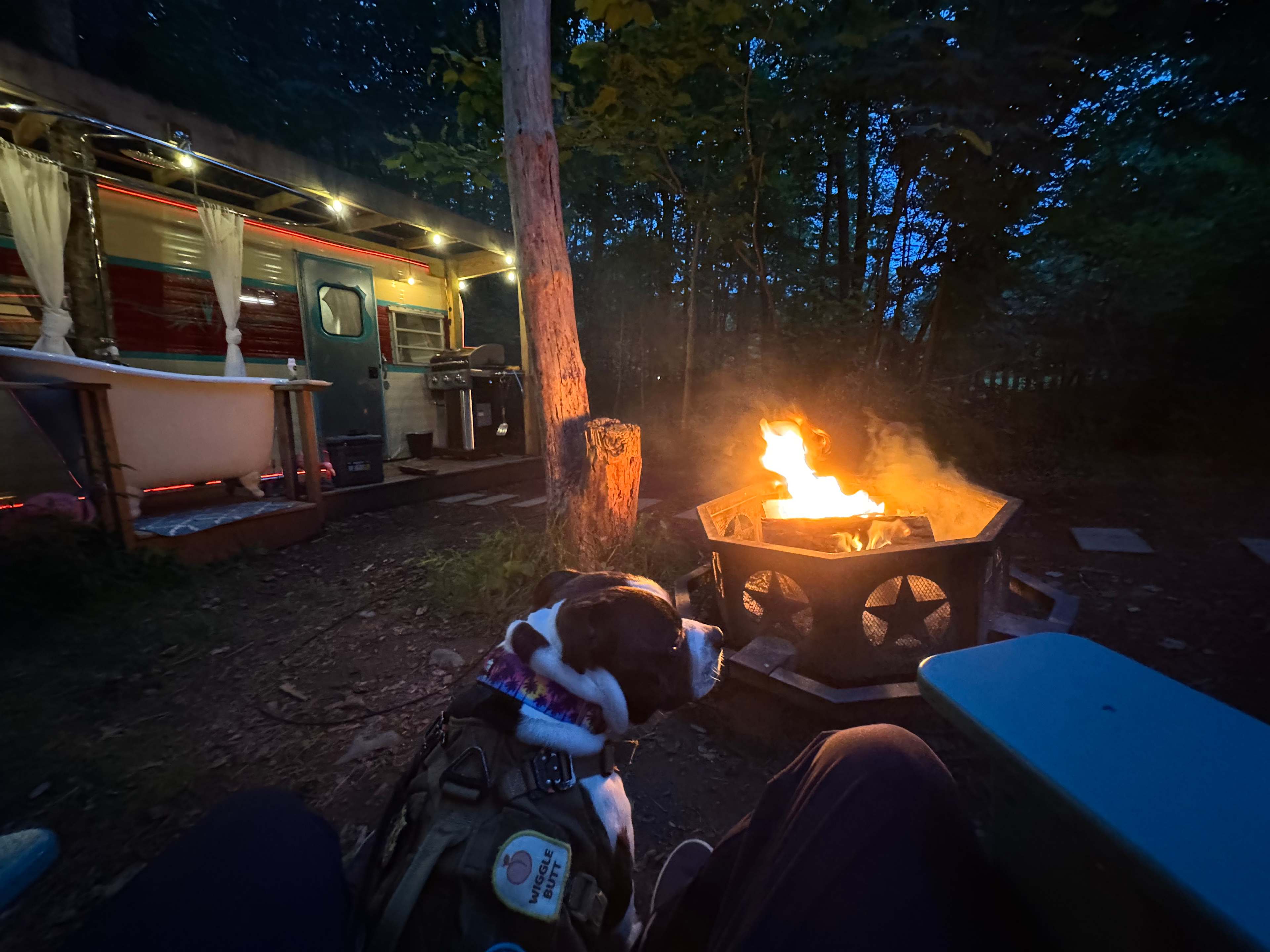 Glamping Tent Overlooking Waterfall