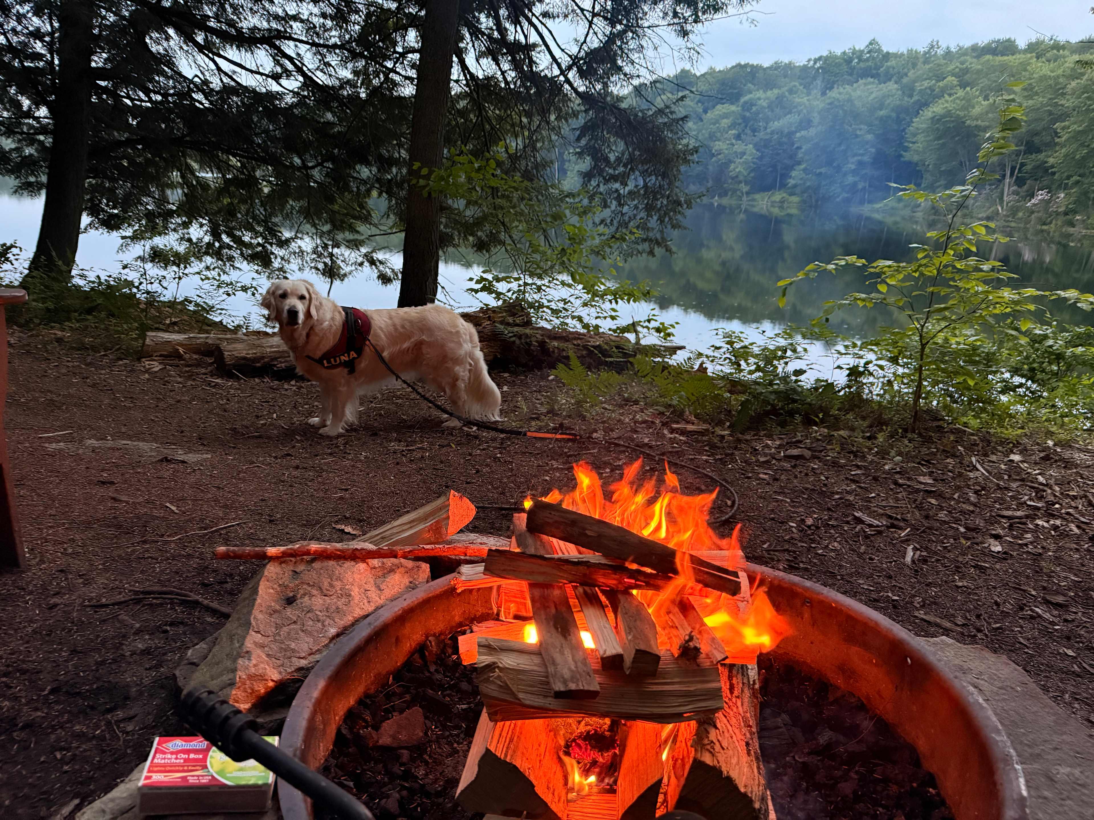 Perfect spot for the fire pit 