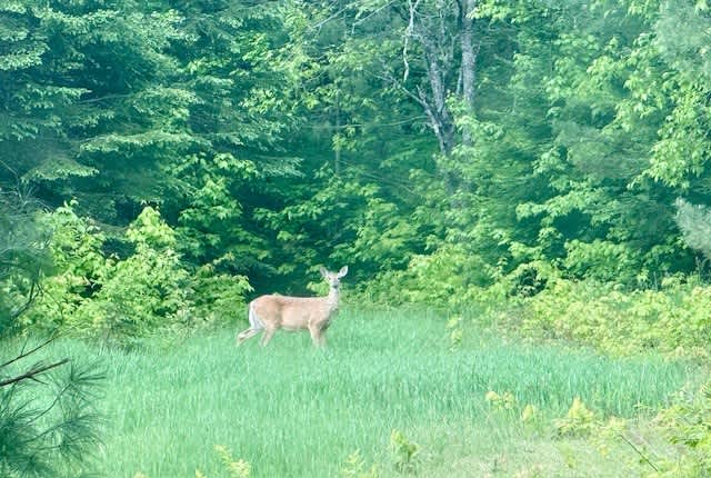 Our company on site 3. (6/14/25)