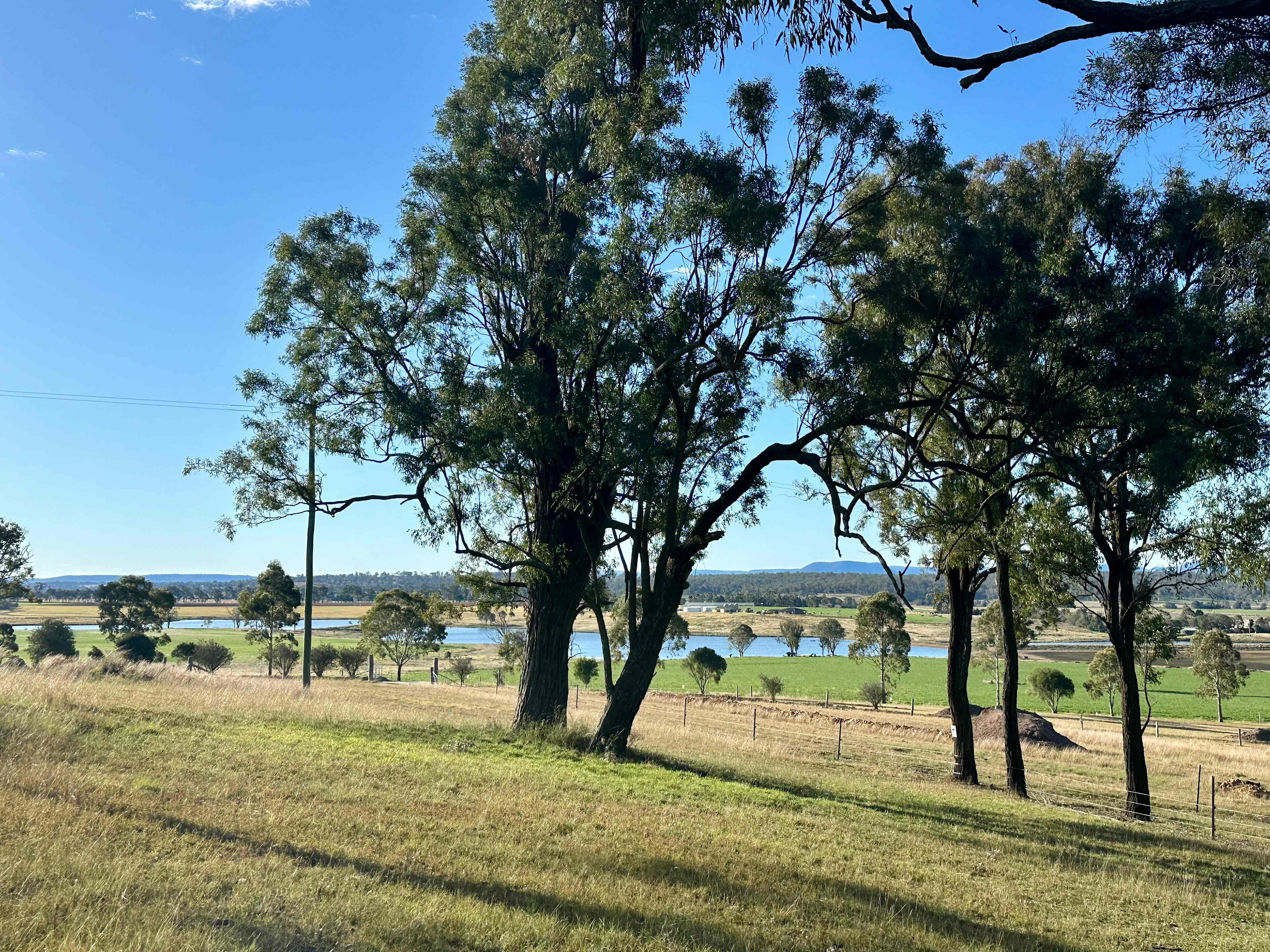 Berrima Camping & Farmstay