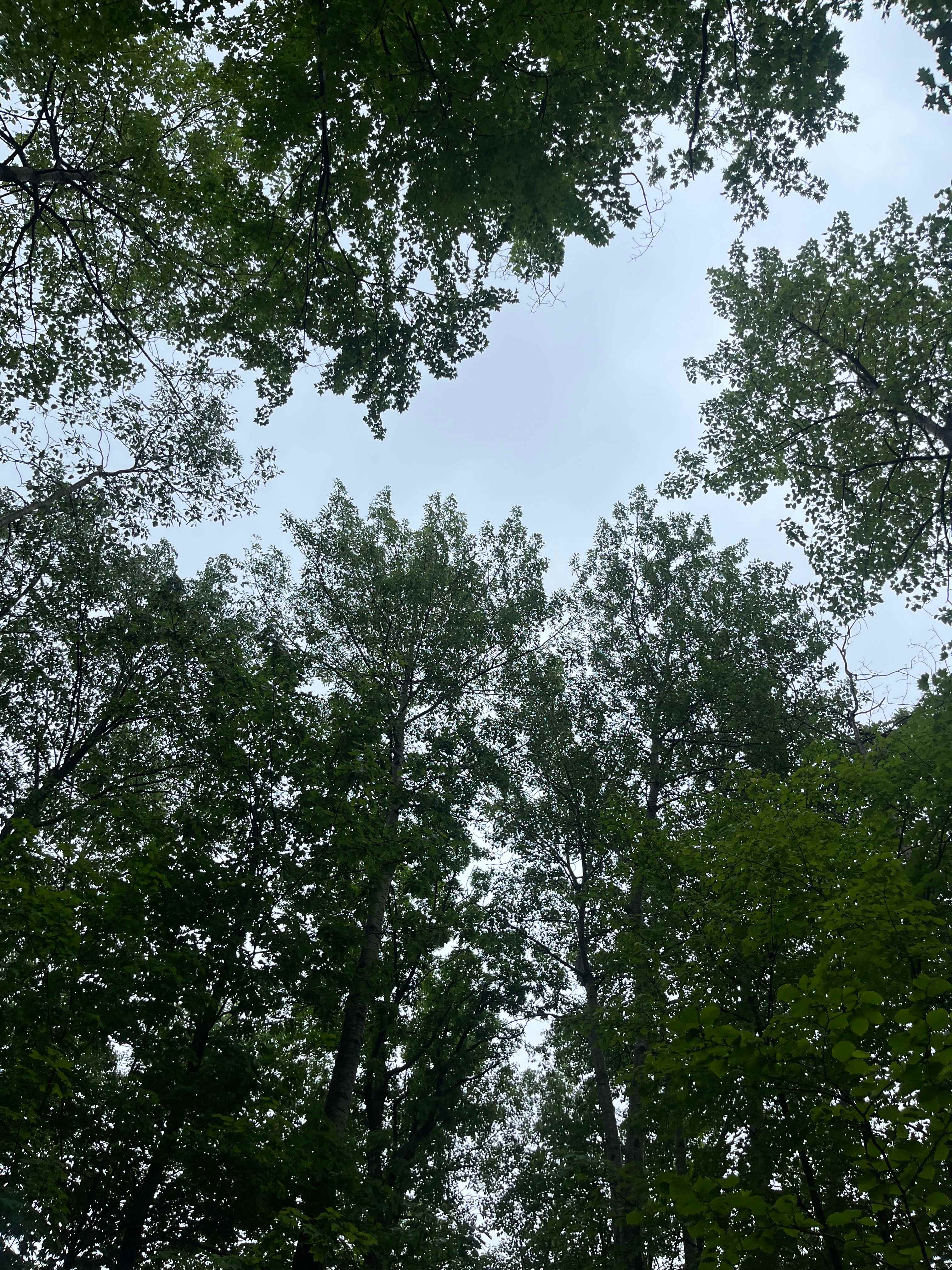 Trapper Arts Camping Retreat
