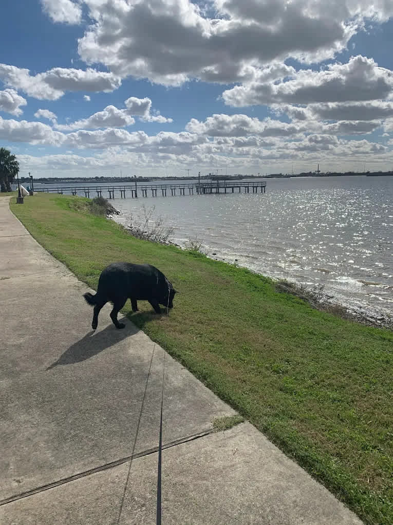 San Jacinto Riverfront RV Park