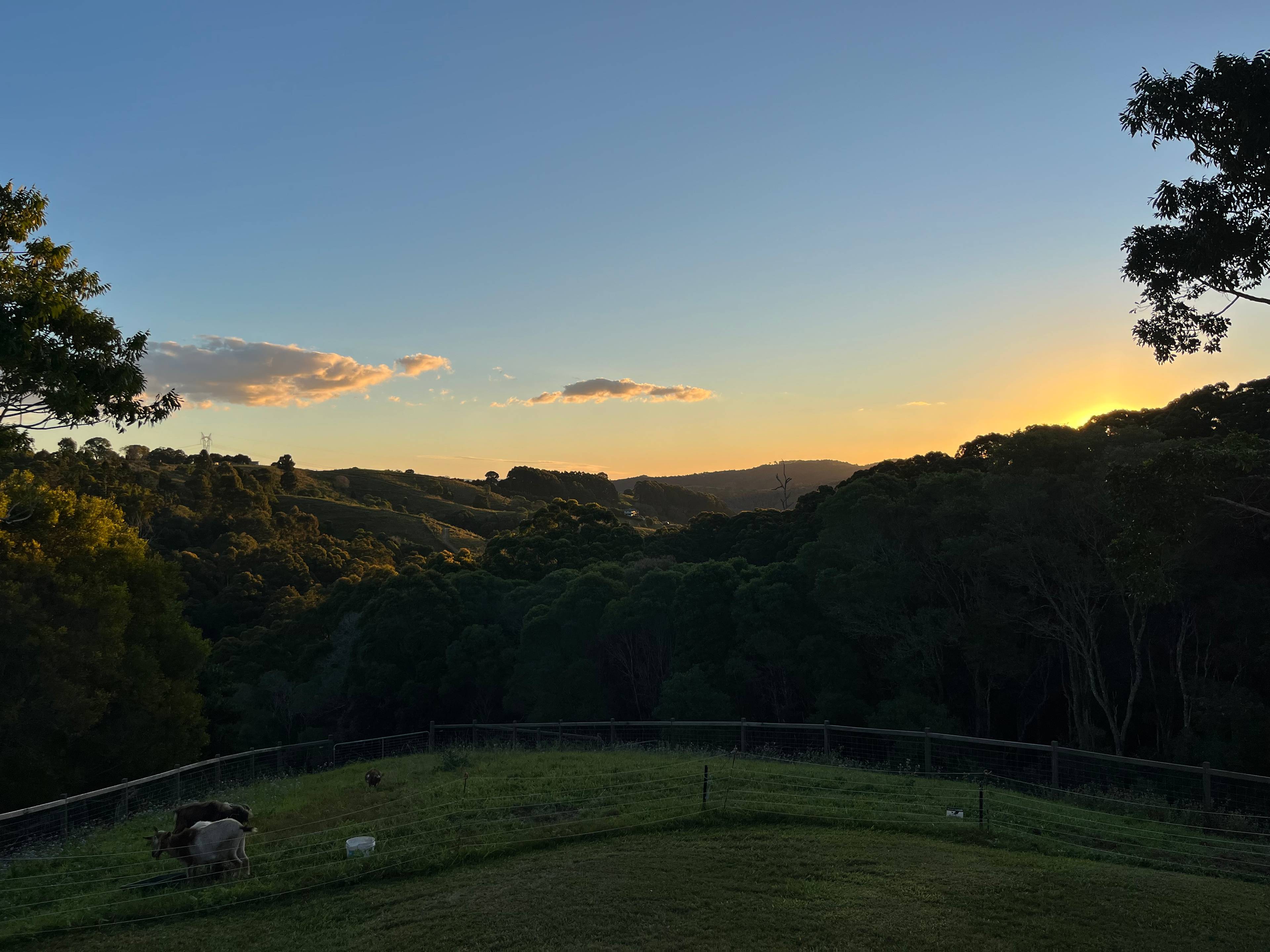 Tranquilvalleynoosa