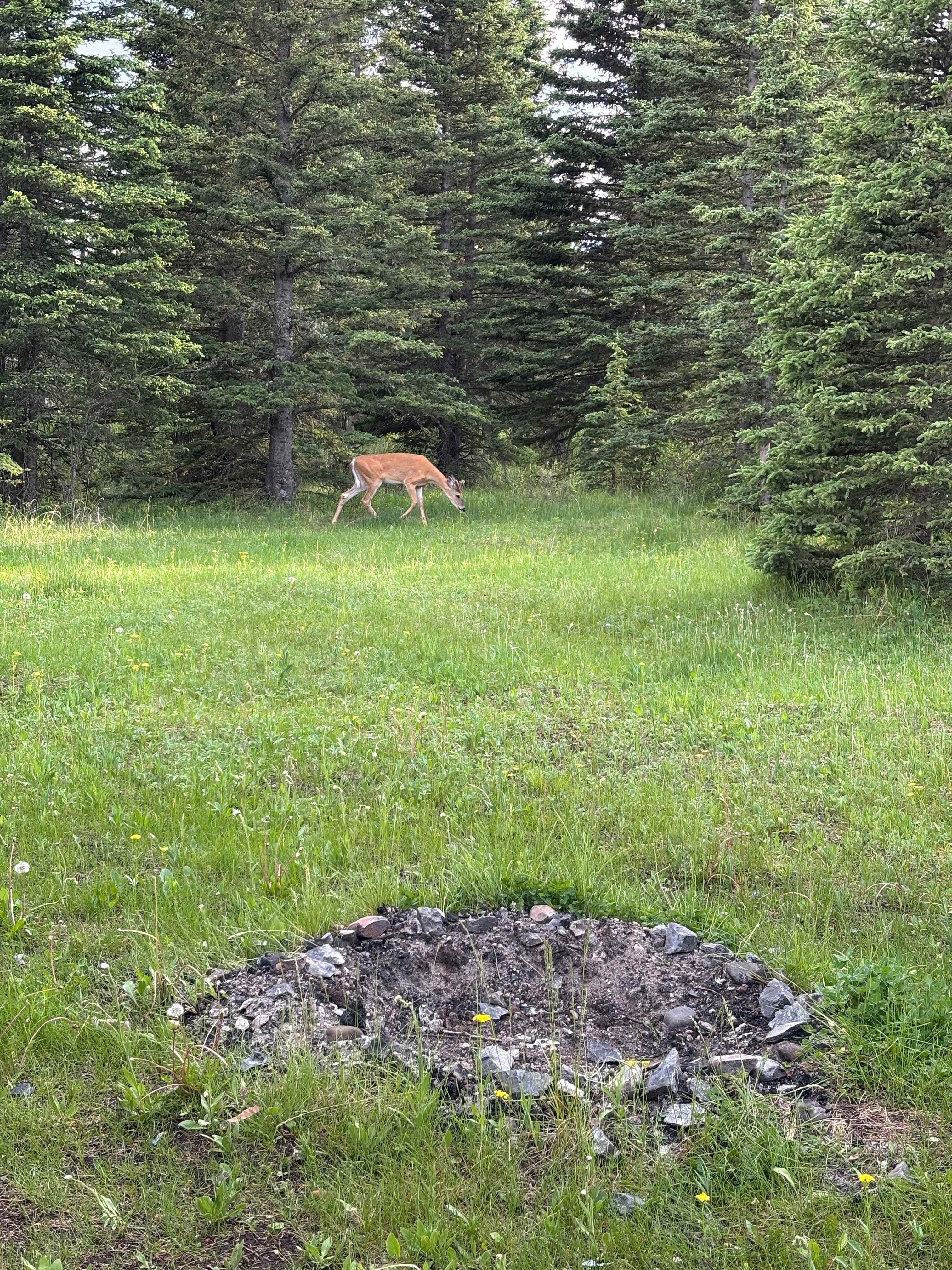 Onespot Crossing Campgrounds